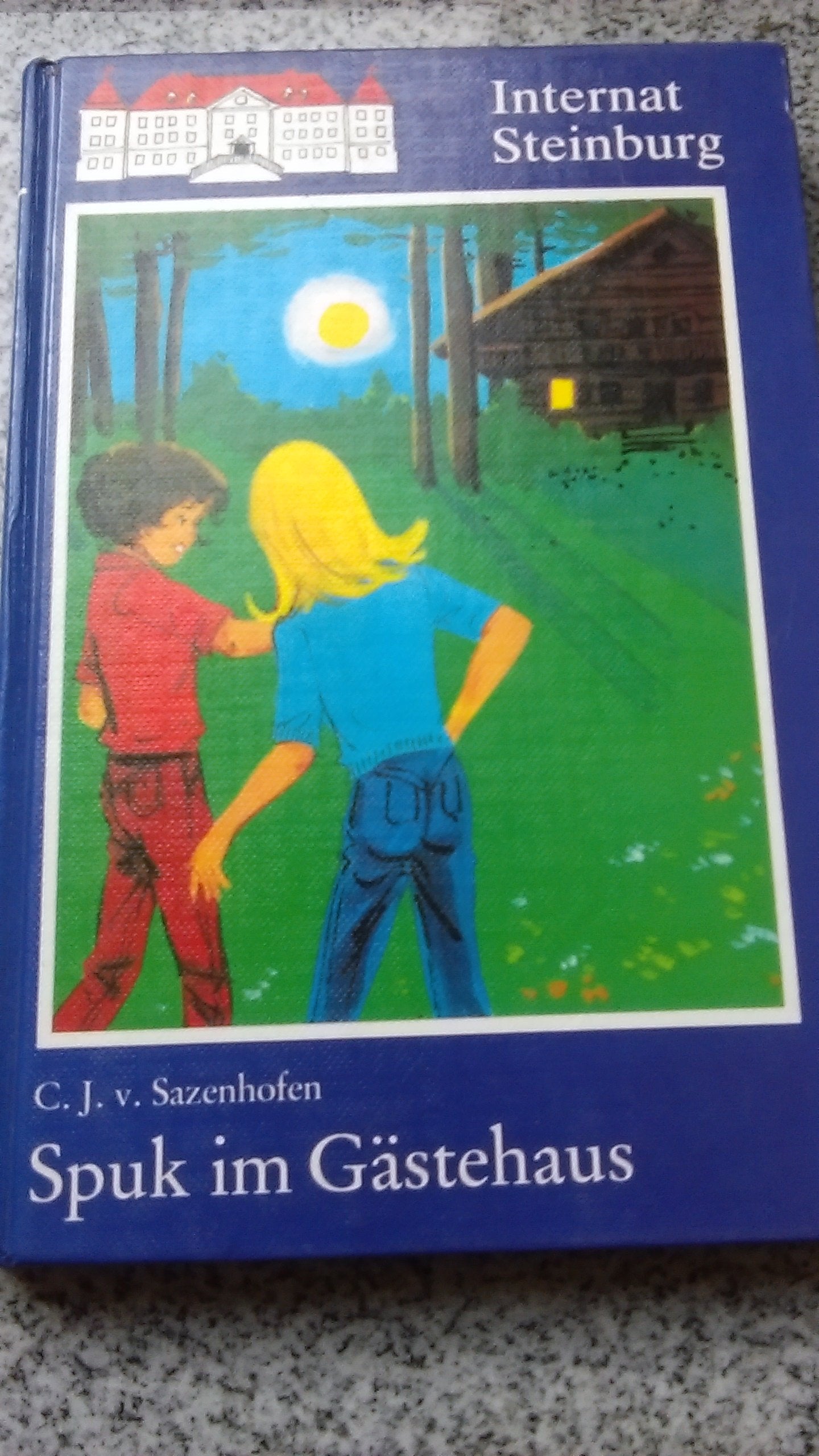 Internat Steinburg / Spuk im Gästehaus Books
