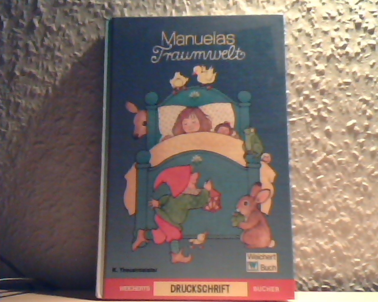 Manuelas Traumwelt: Druckschrift Books