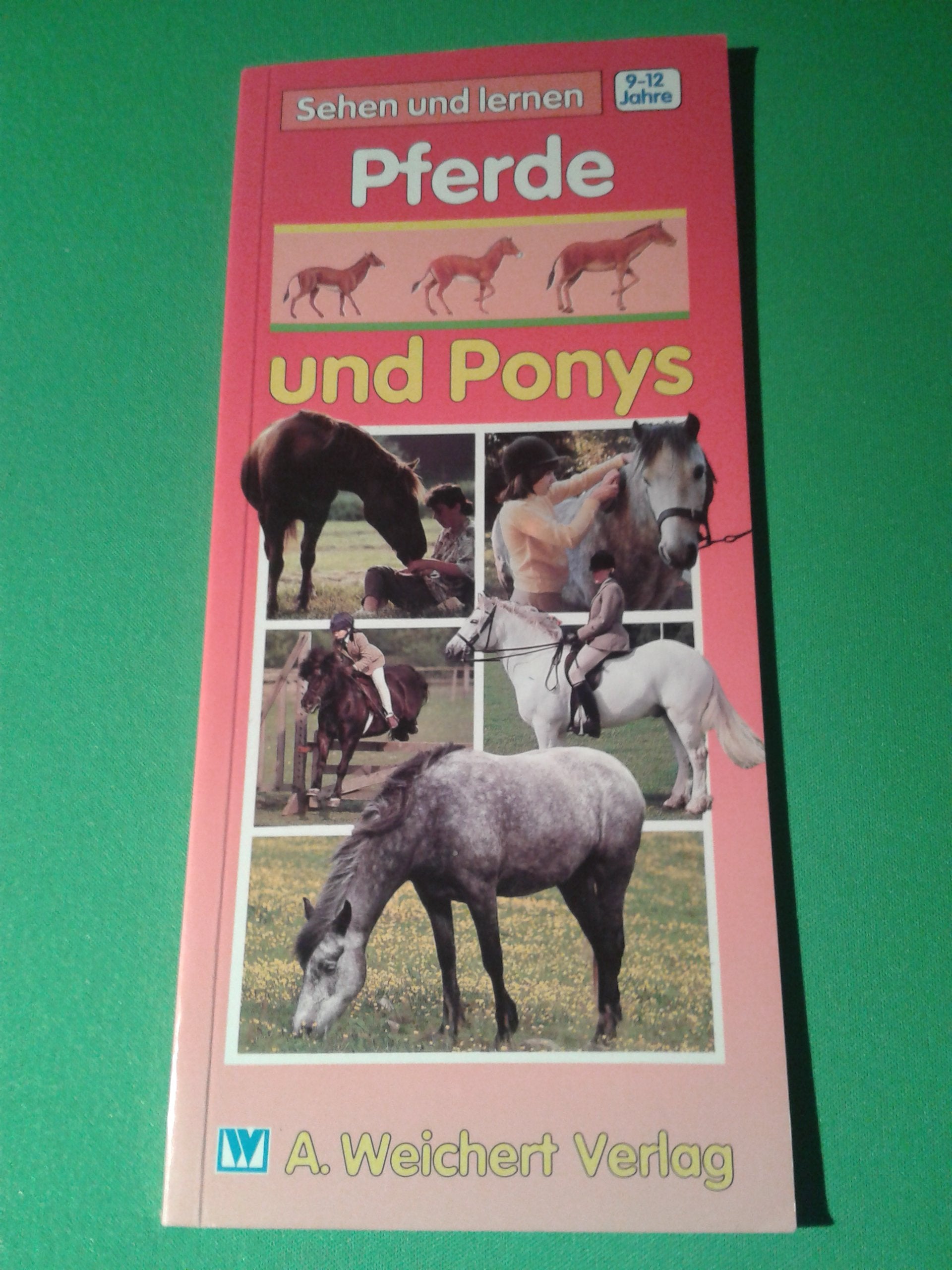 PFERDE UND PONYS Tiptoi & Games