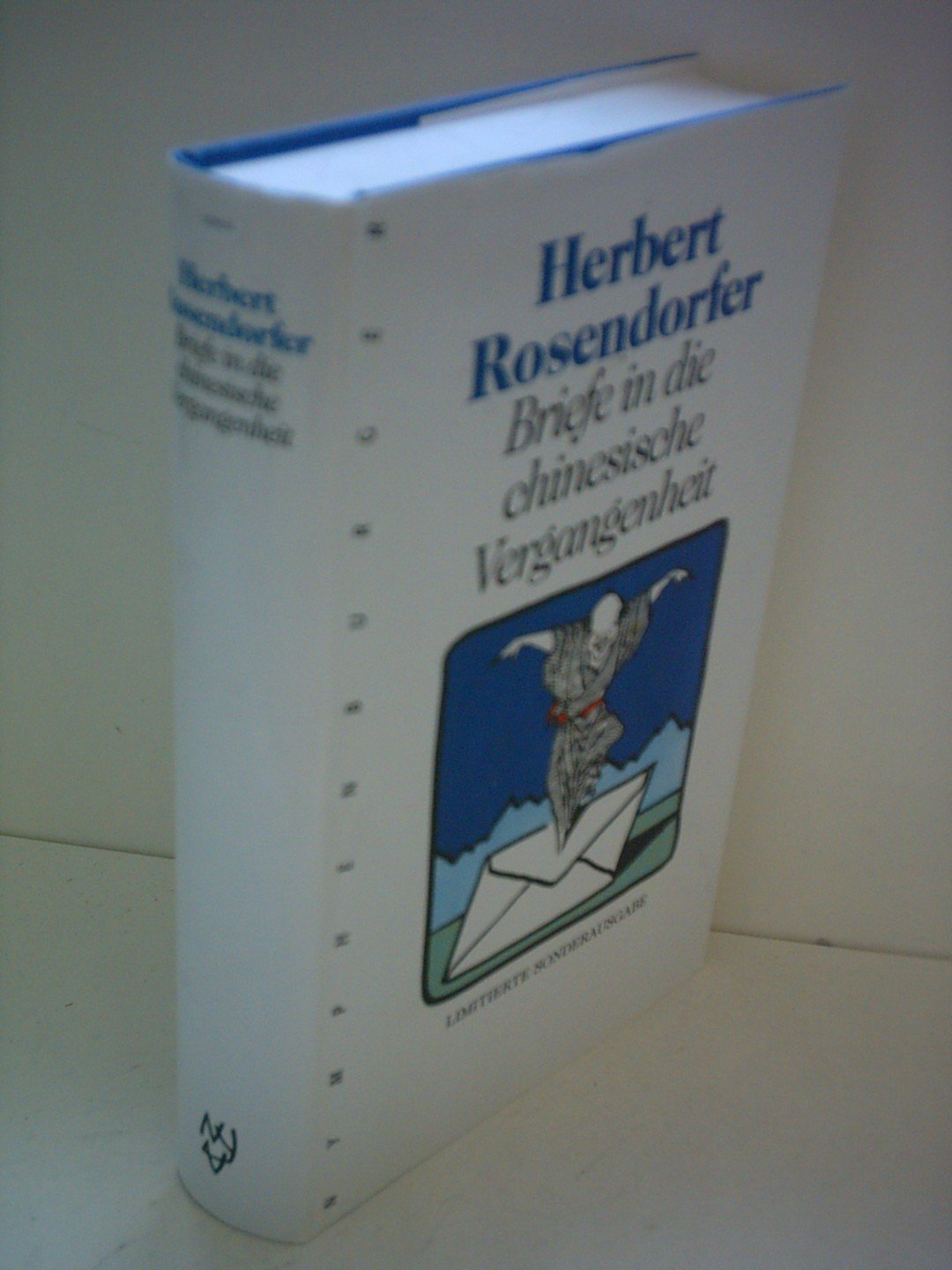 Briefe in die chinesische Vergangenheit. Jubiläumsausgabe Essays & Short Stories