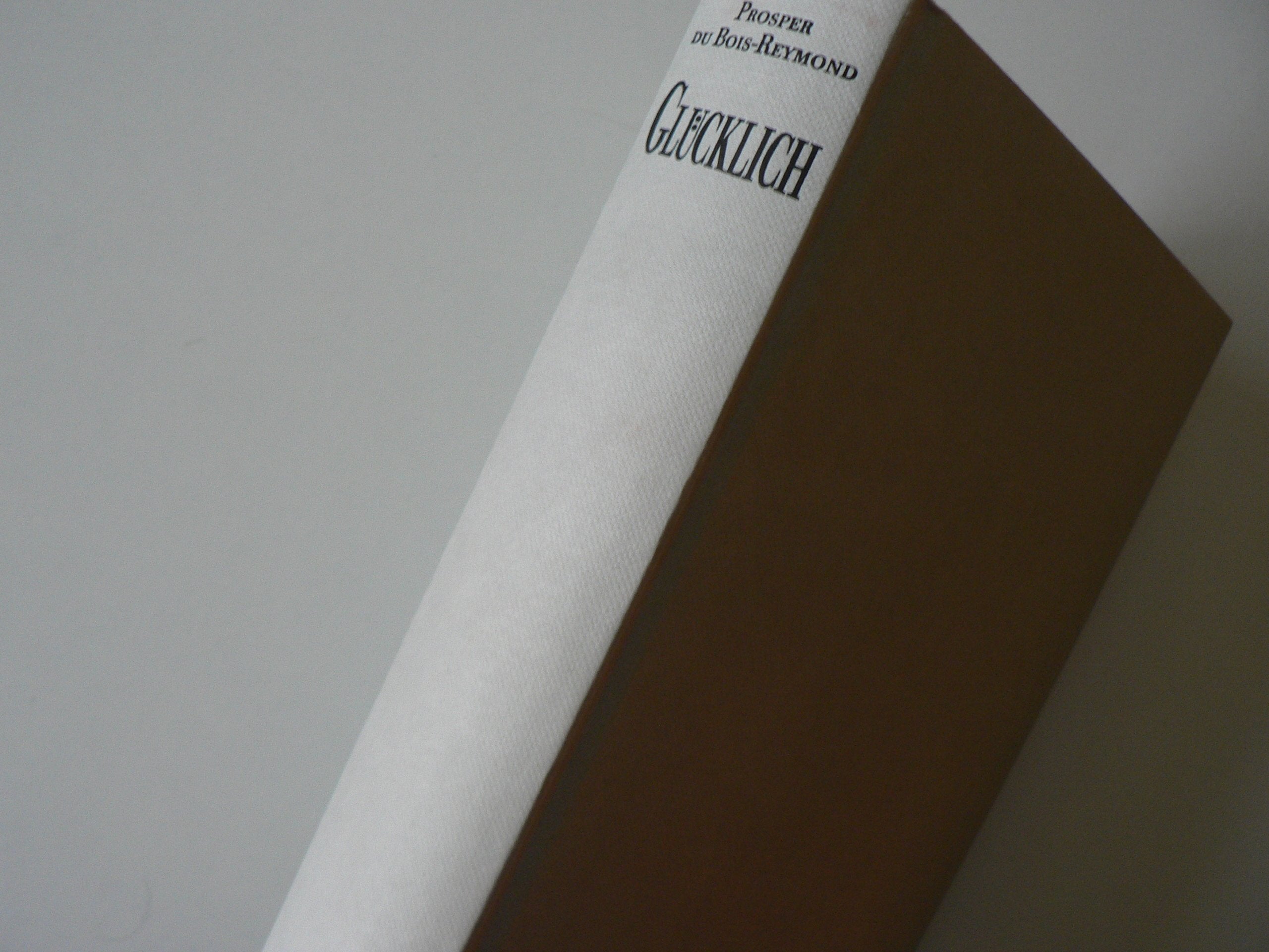 Glücklich - Invalidität als Chance book