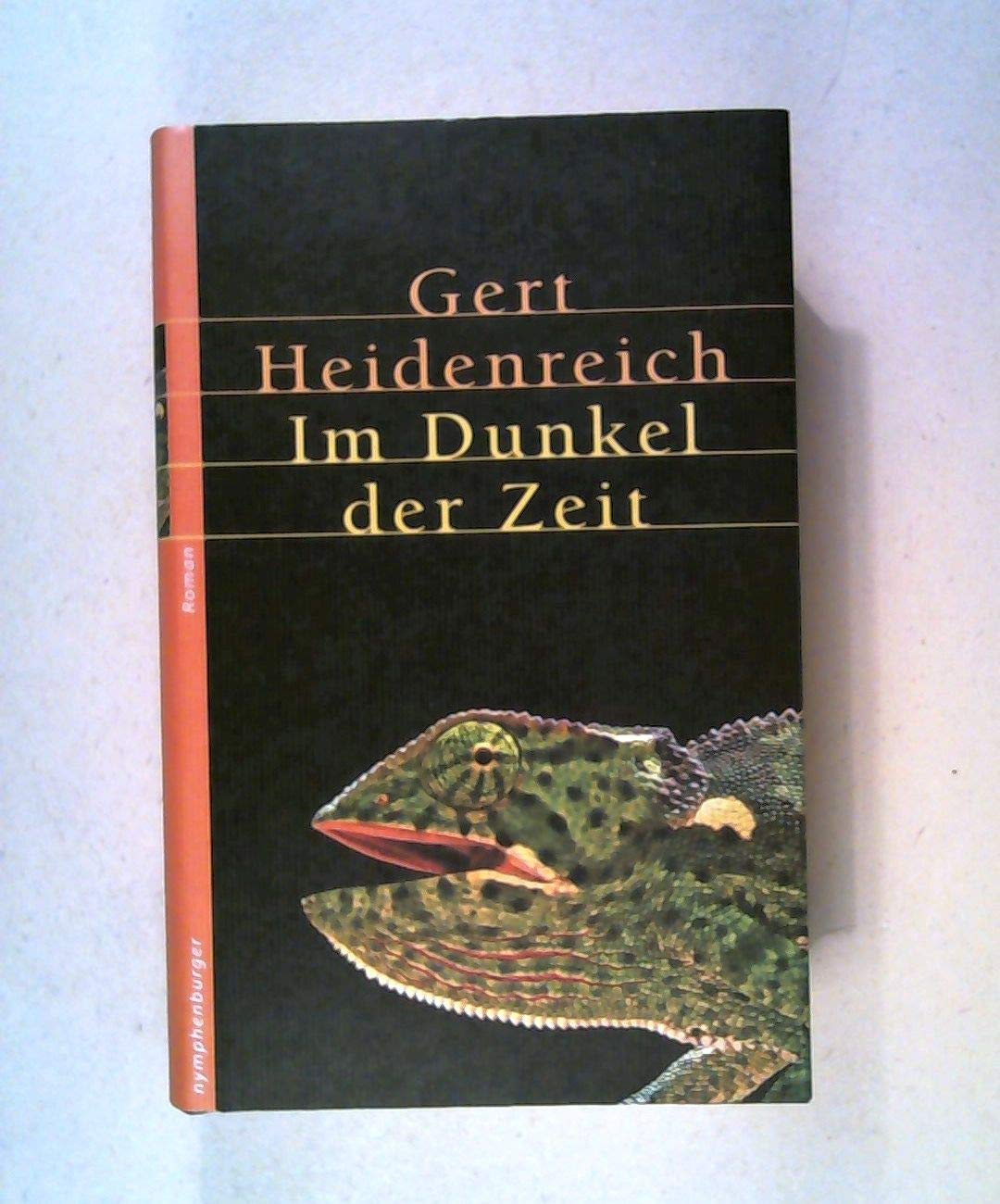 Im Dunkel der Zeit: Roman Contemporary literature