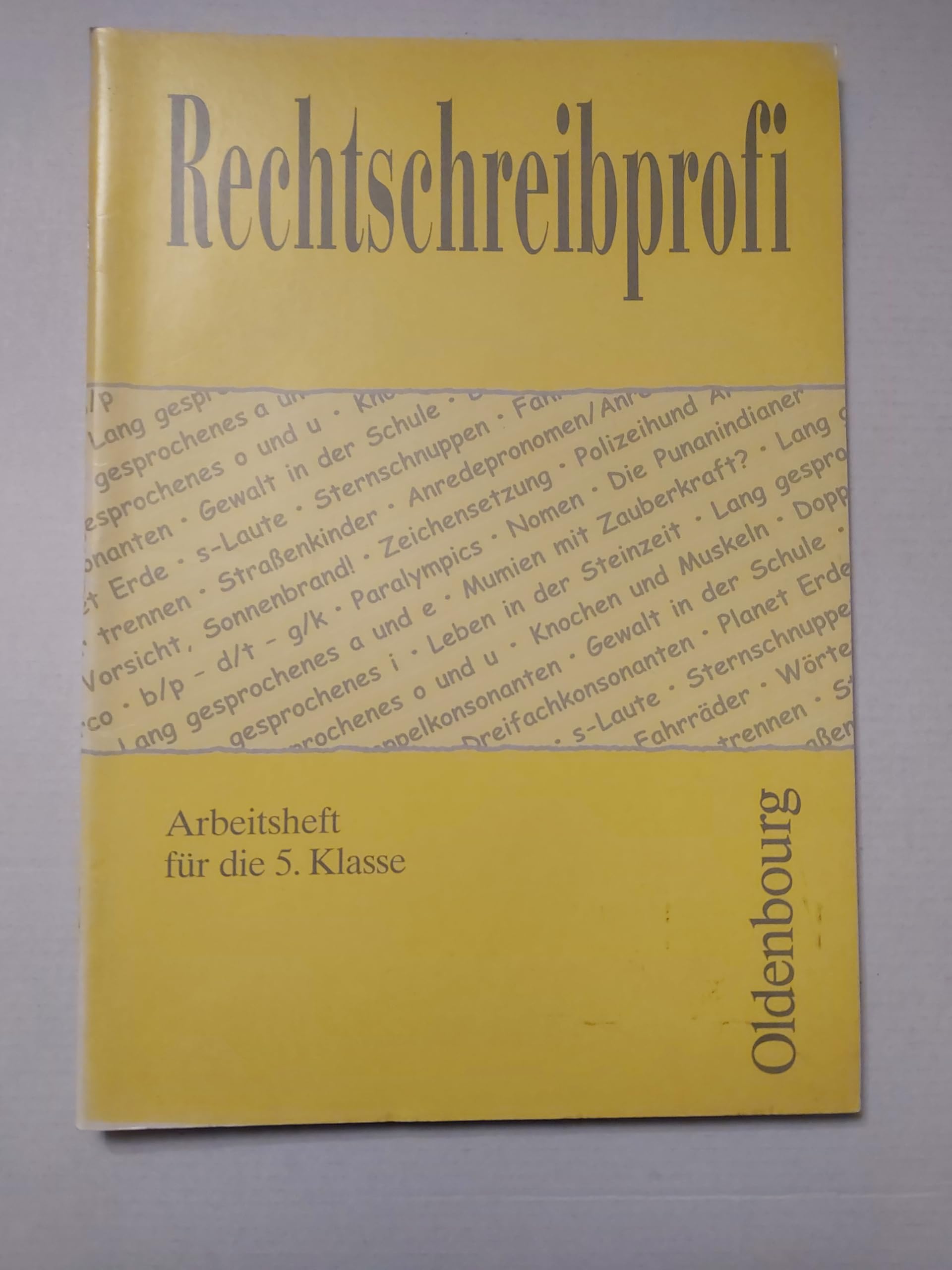 Rechtschreibprofi: Arbeitsheft für die 5. Klasse Learning & Reference