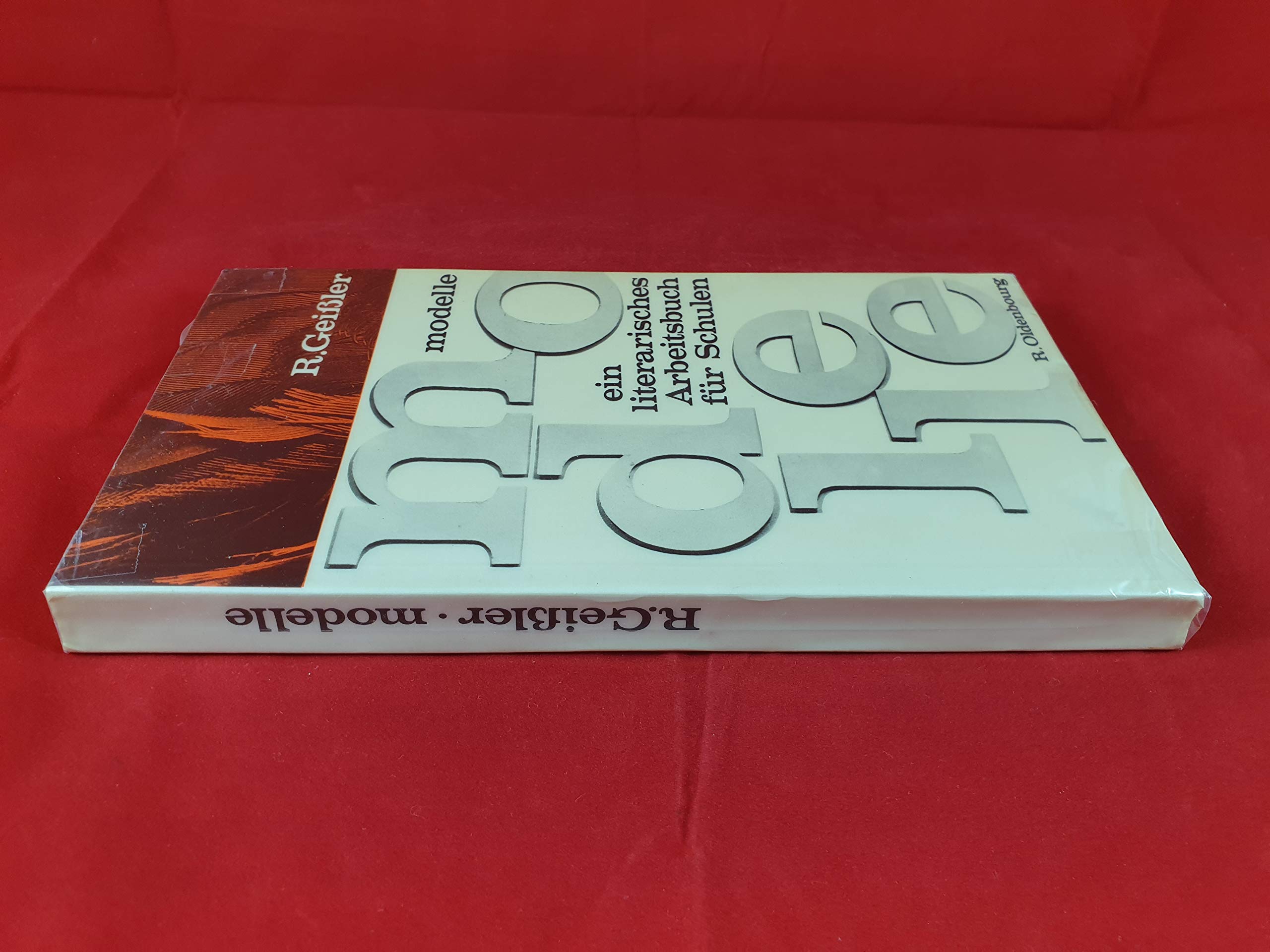 Modelle: Ein literarisches Arbeitsbuch für Schulen (9.-10. Schuljahr). Schülerarbeitsbuch Books