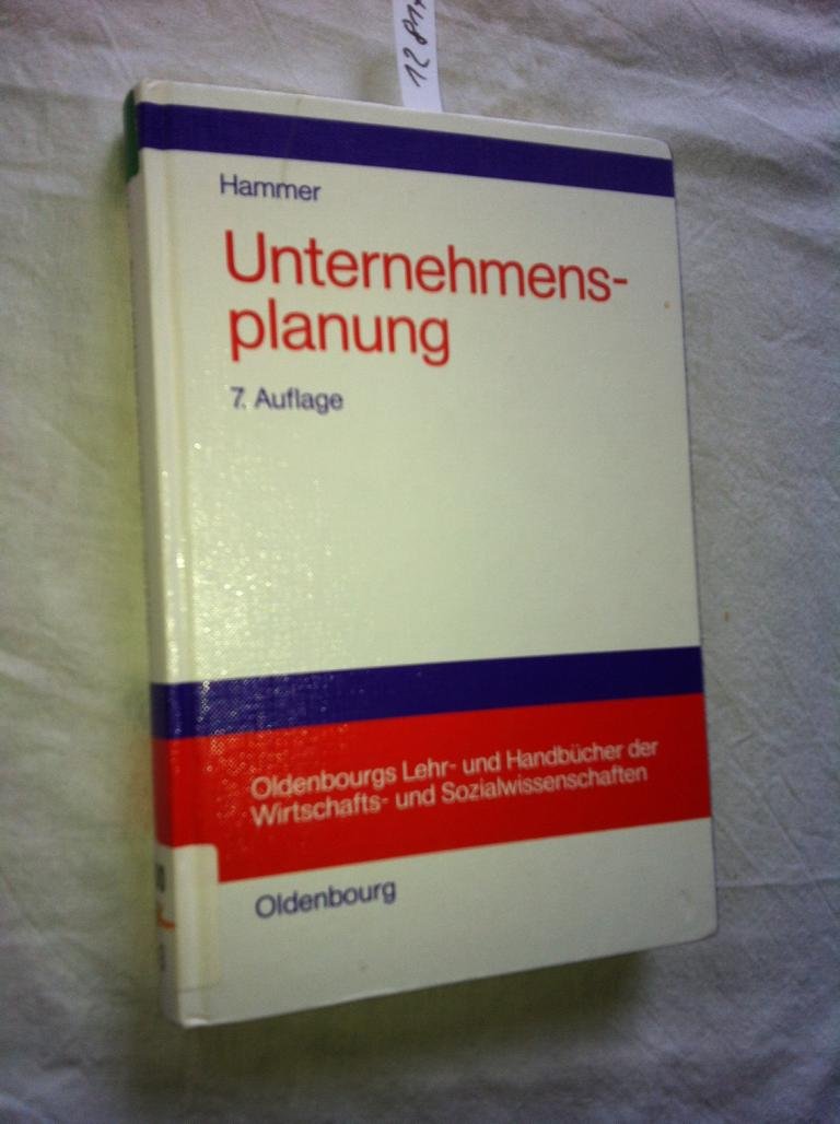 Unternehmungsplanung: Lehrbuch der Planung und strategischen Unternehmungsführung Business, Finance & Career