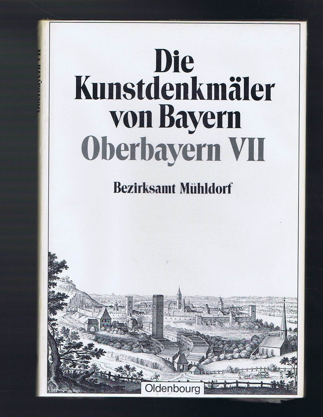 Die Kunstdenkmäler von Bayern. Die Kunstdenkmäler von Oberbayern / Die Kunstdenkmäler von Bayern: Regierungsbezirk Oberbayern. Band 7. Bezirksamt Mühldorf book