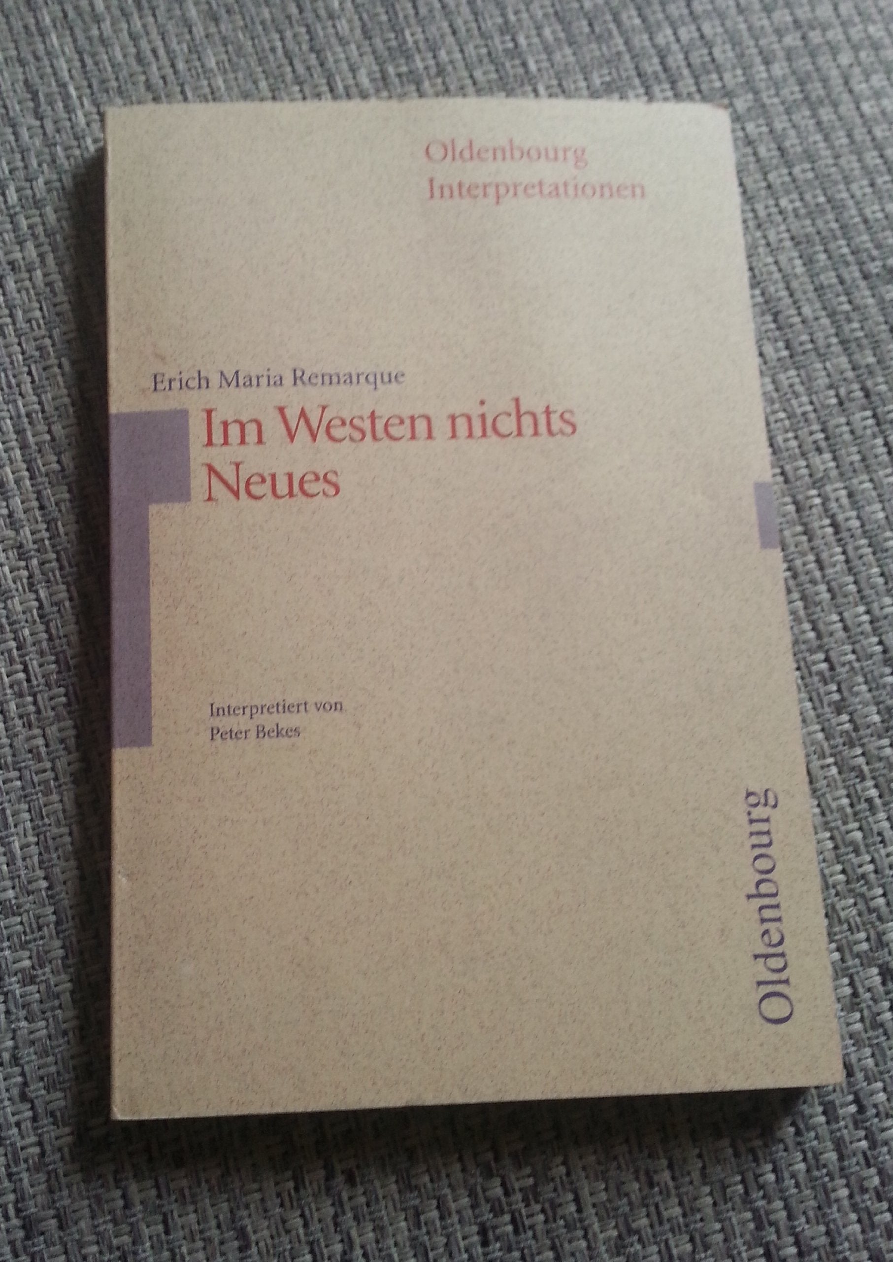 Oldenbourg Interpretationen, Bd.90, Im Westen nichts Neues Study Guides