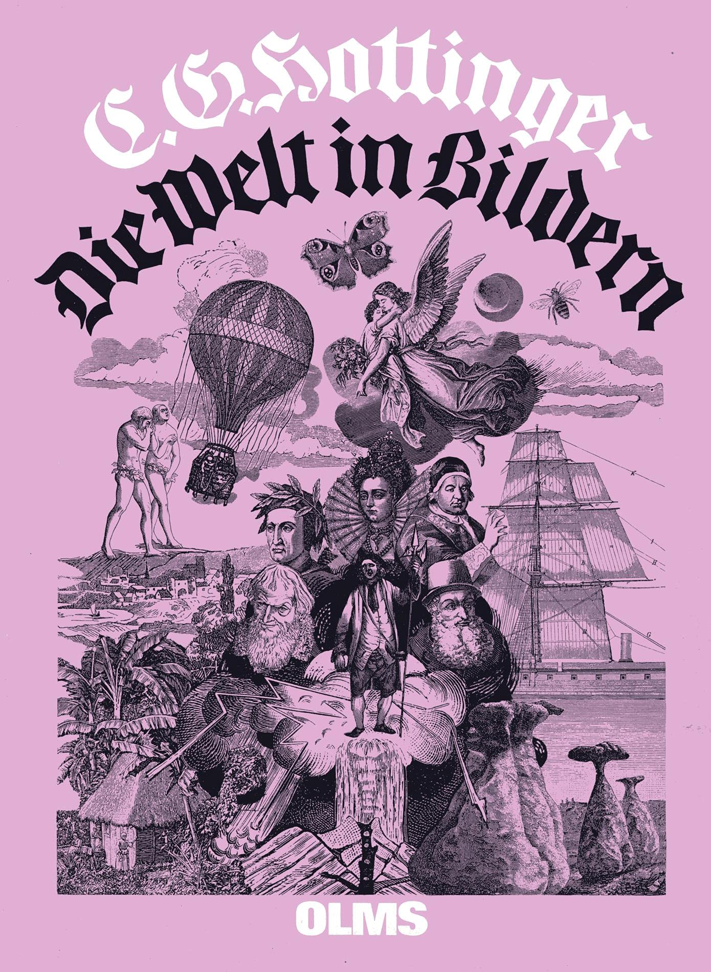 Die Welt in Bildern: Orbis pictus (Olms Presse) Politics & History