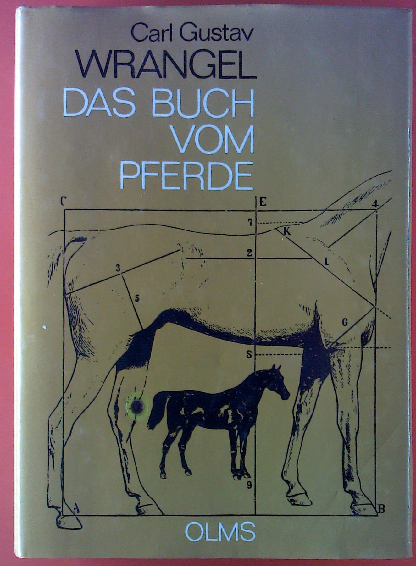 Das Buch vom Pferde Band II Books