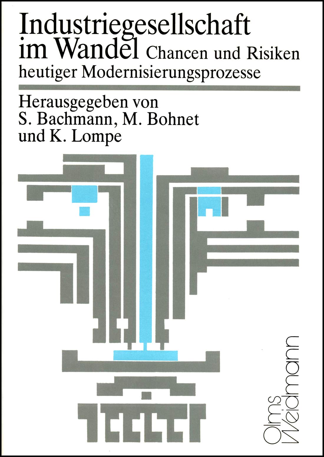 Industriegesellschaft im Wandel (Veröffentlichungen der Technischen Universität Carolo-Wilhelmina zu Braunschweig) Books