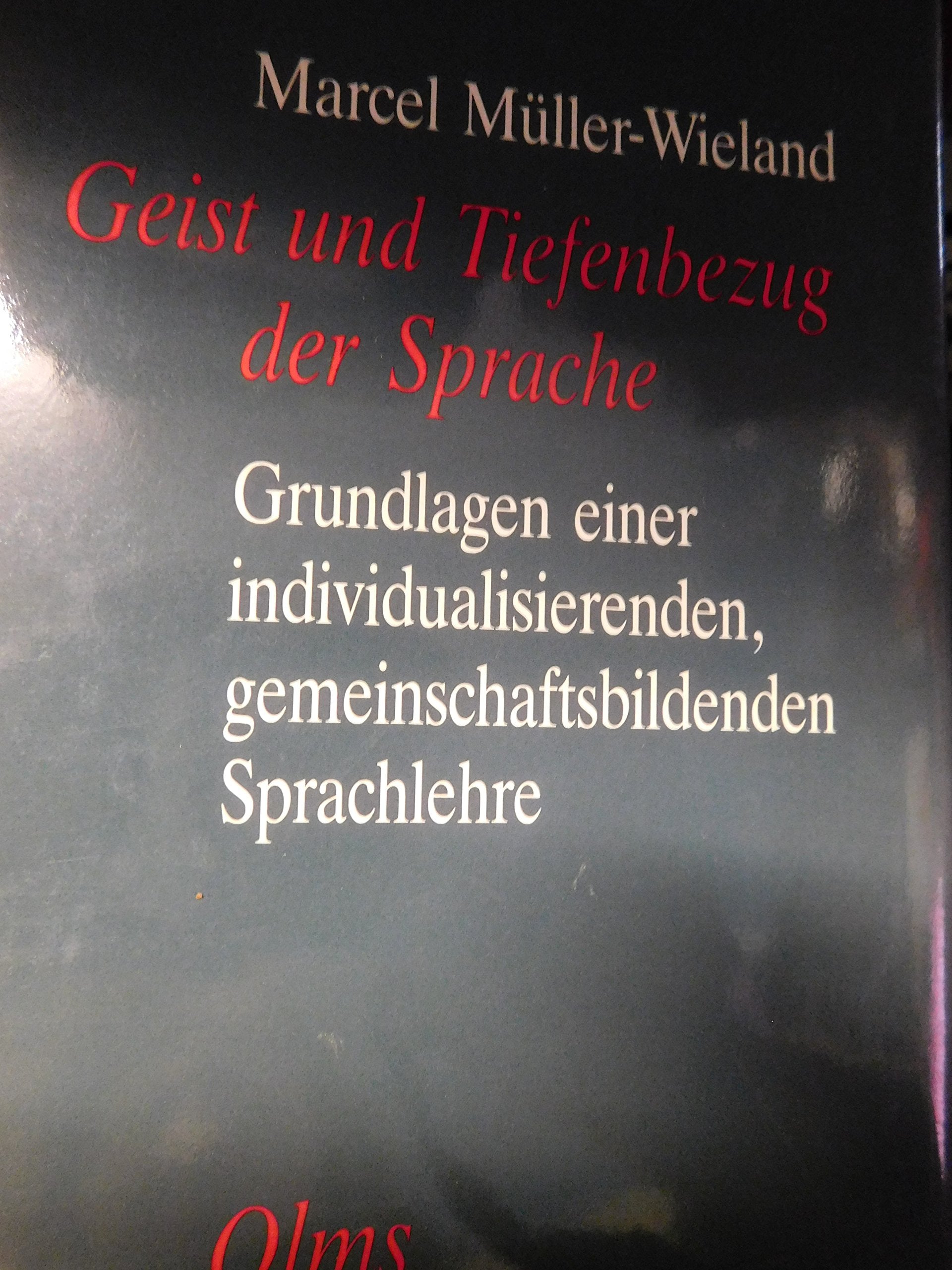 Geist und Tiefenbezug der Sprache: Grundlagen einer individualisierenden, gemeinschaftsbildenden Sprachlehre Books