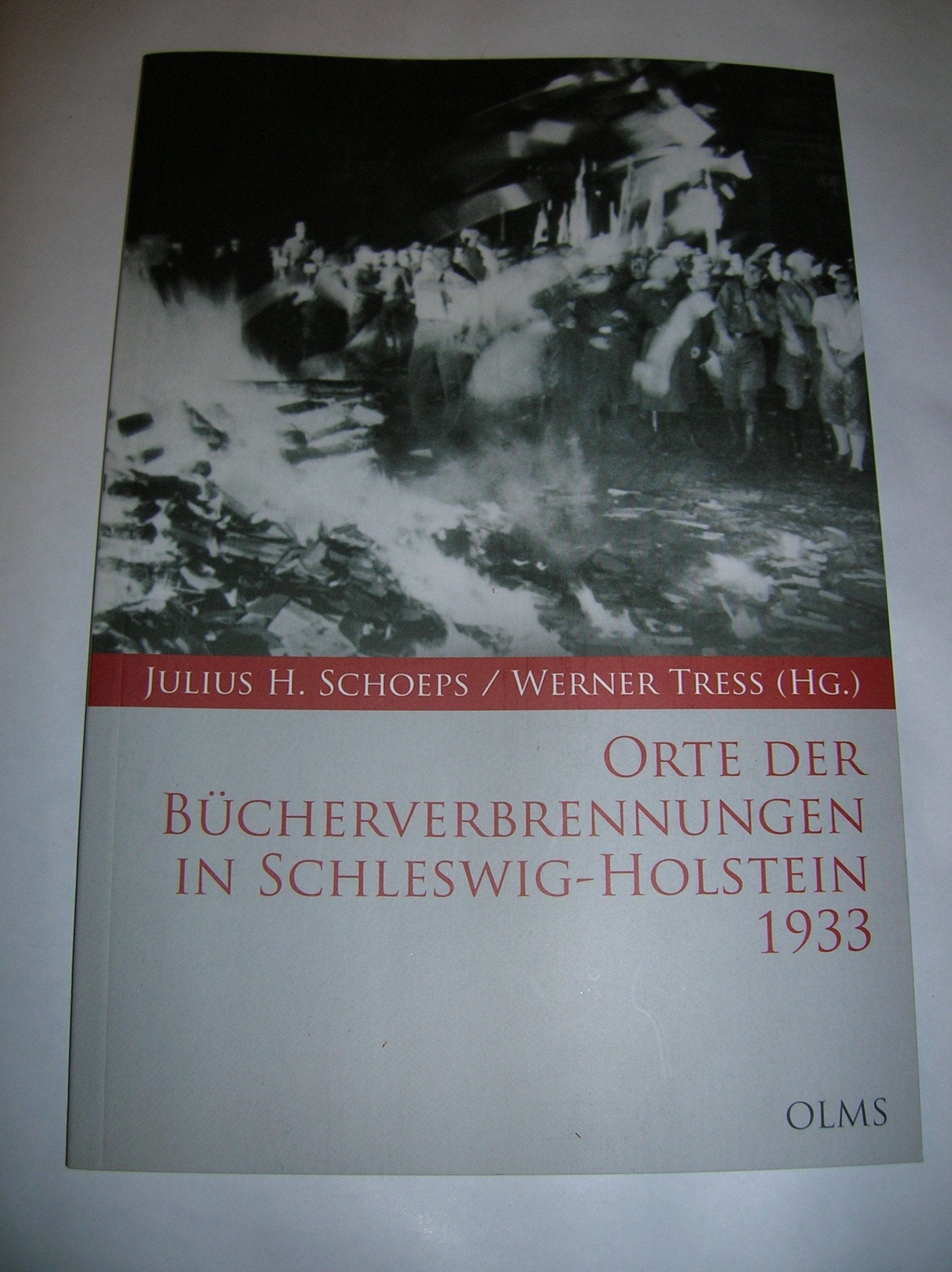 Orte der Bücherverbrennungen in Schleswig-Holstein 1933 Books
