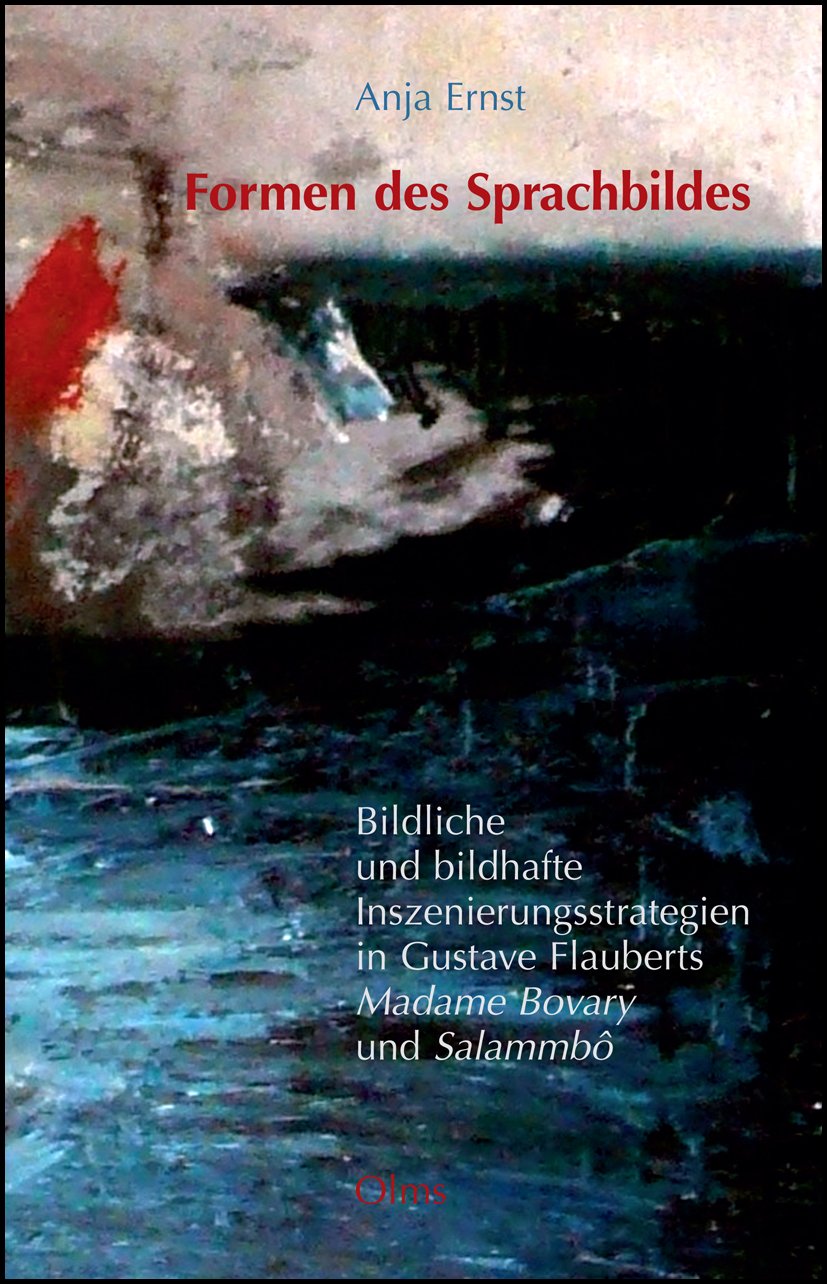 Formen des Sprachbildes. Bildliche und bildhafte Inszenierungsstrategien in Gustave Flauberts "Madame Bovary" und "Salammbô" (Romanistische Texte und Studien) Contemporary literature Books