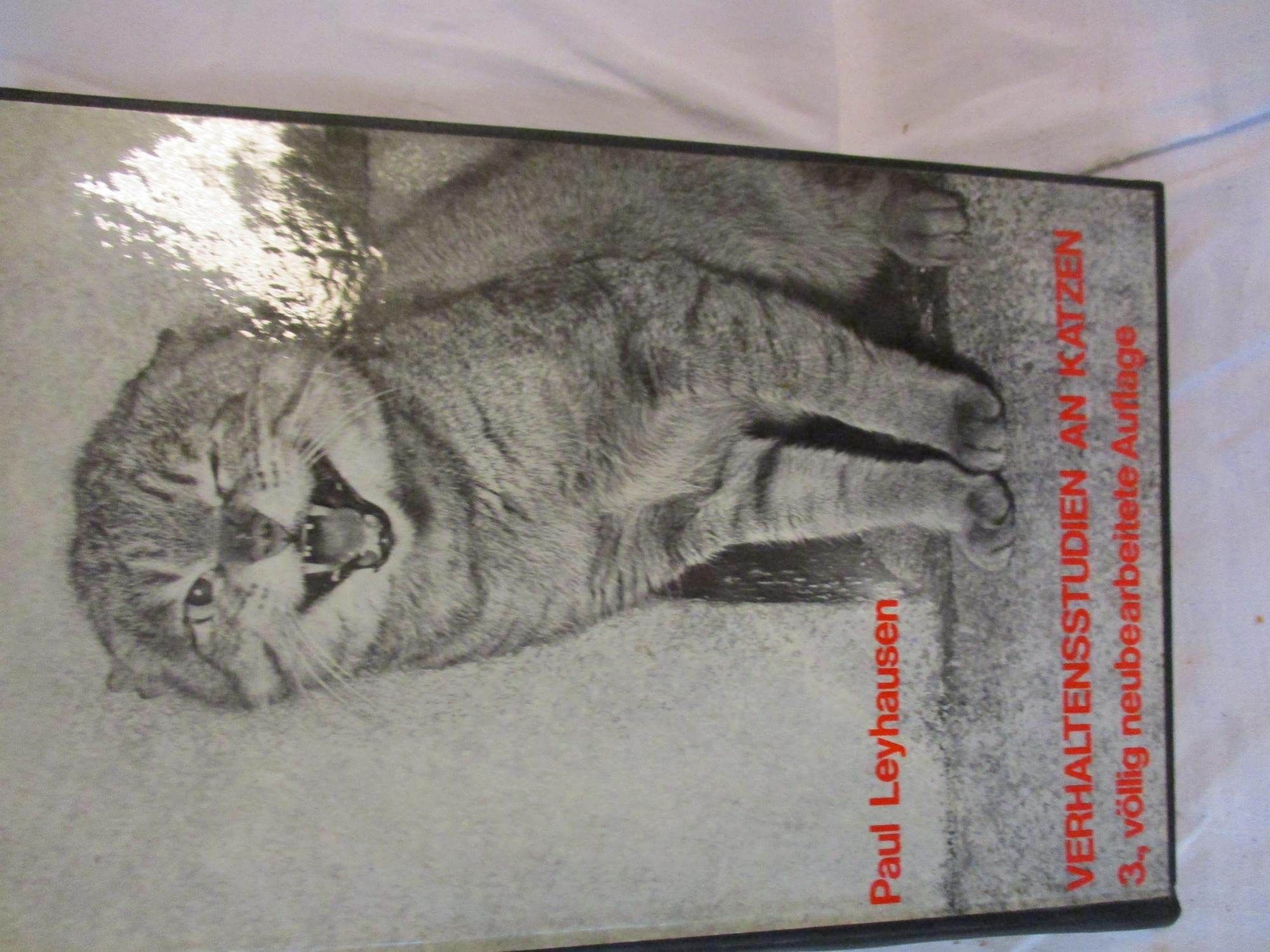 Verhaltensstudien an Katzen Science