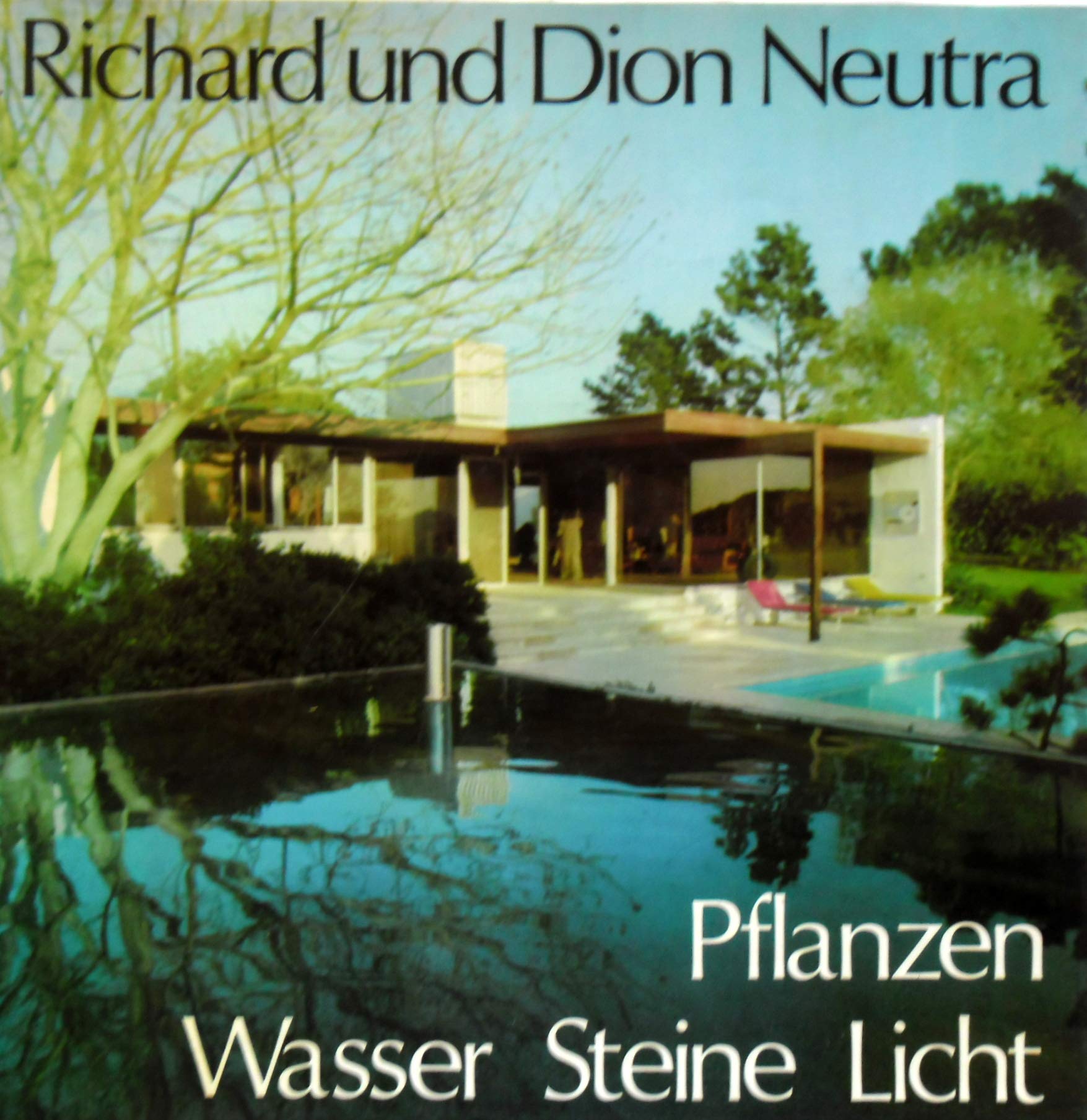 Pflanzen Wasser Steine Licht Leisure, Home & Garden