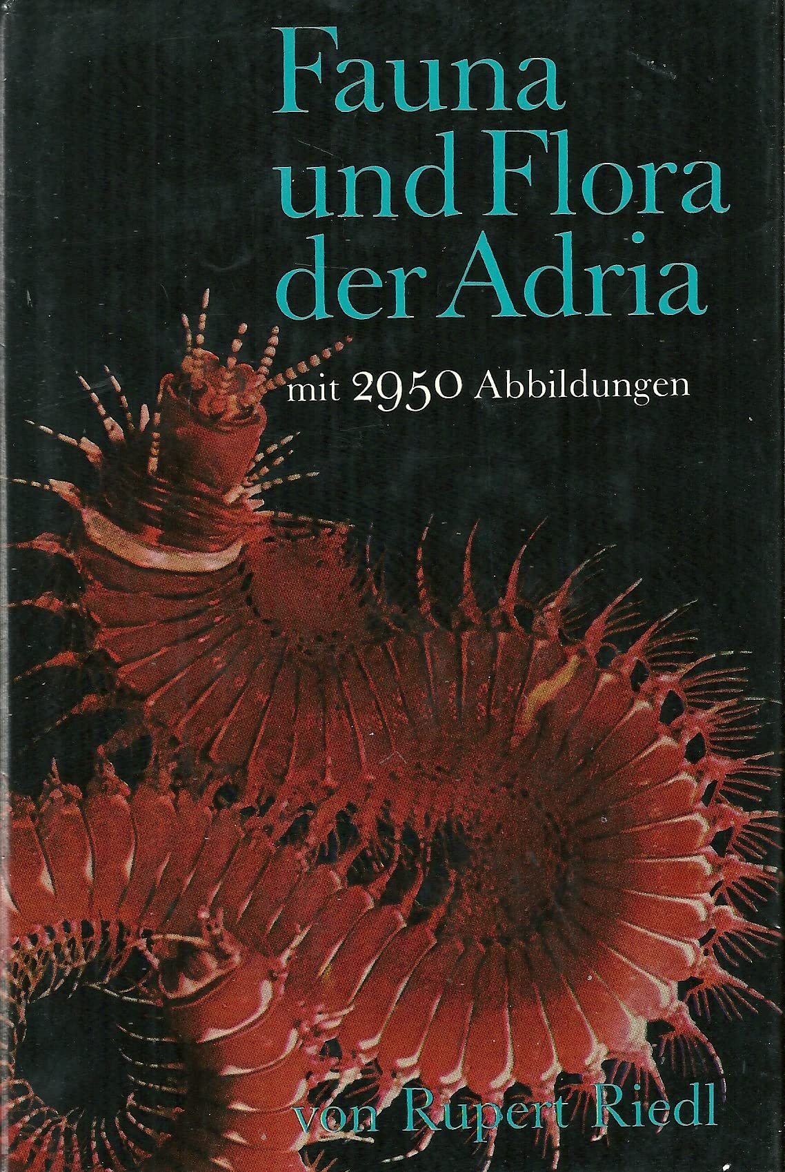 Fauna und Flora der Adria. Ein systematischer Meeresführer für Biologen und Naturfreunde. Books
