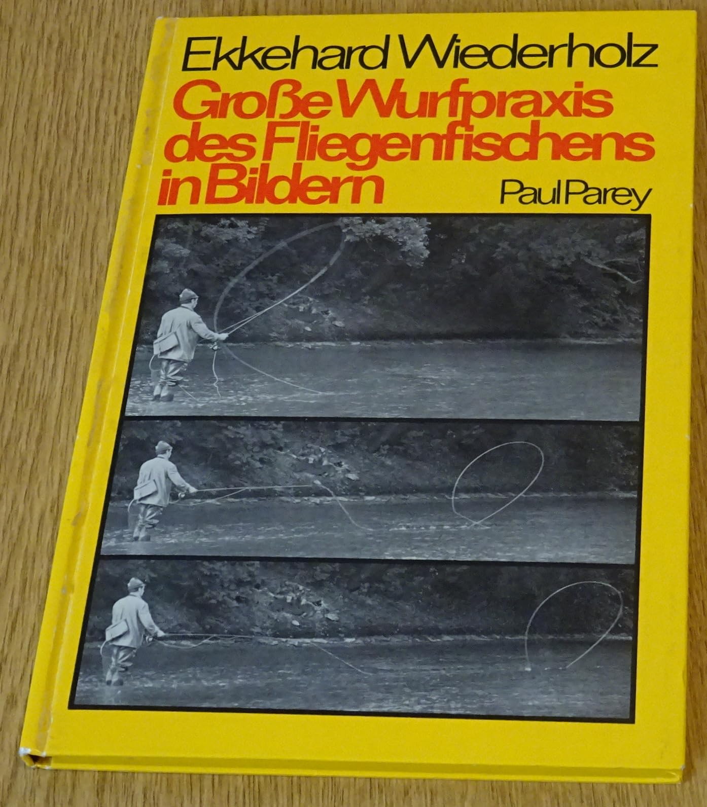 Große Wurfpraxis des Fliegenfischens in Bildern Leisure & Fun