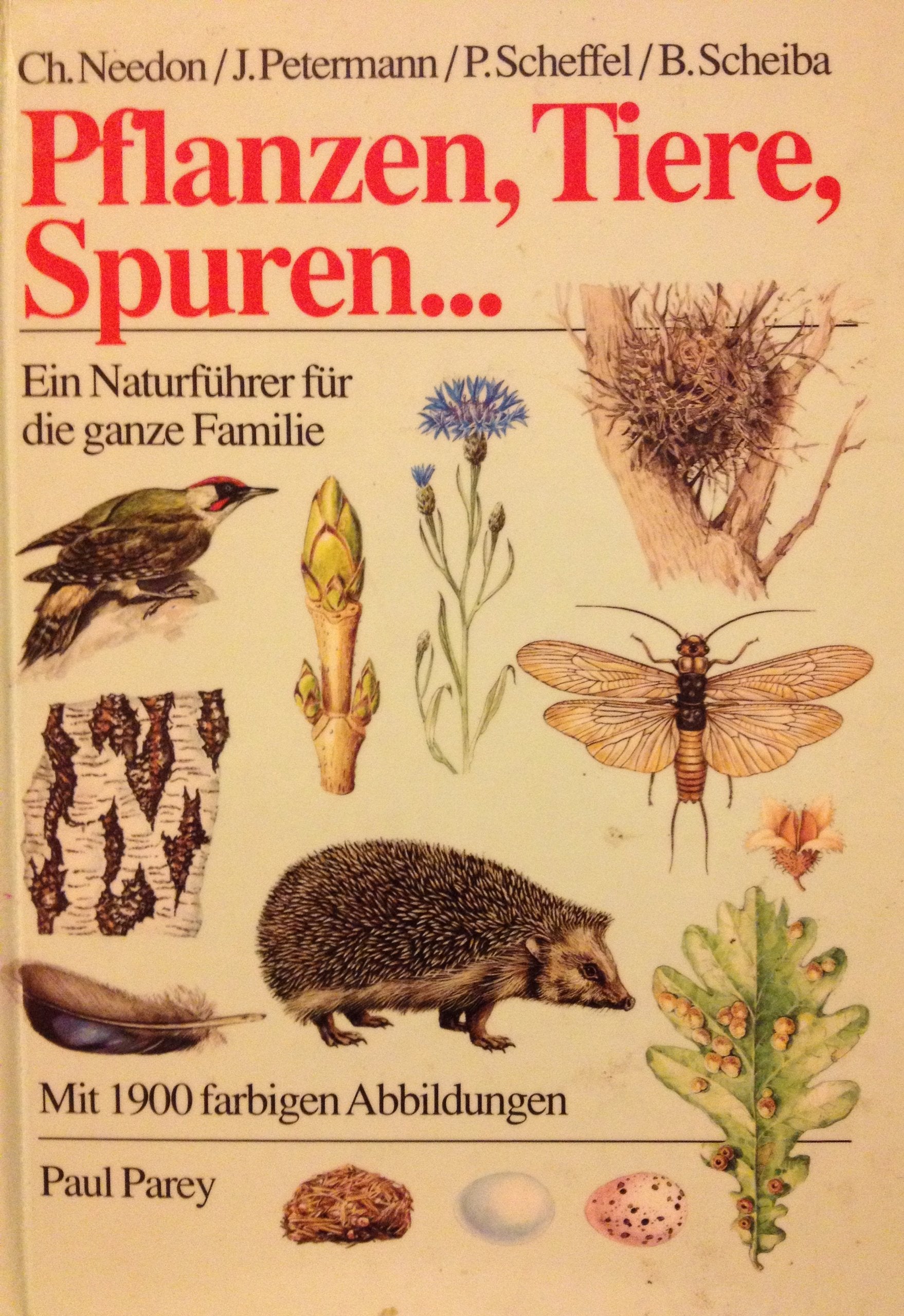 Pflanzen, Tiere, Spuren... Ein Naturführer für die ganze Familie Leisure, Home & Garden