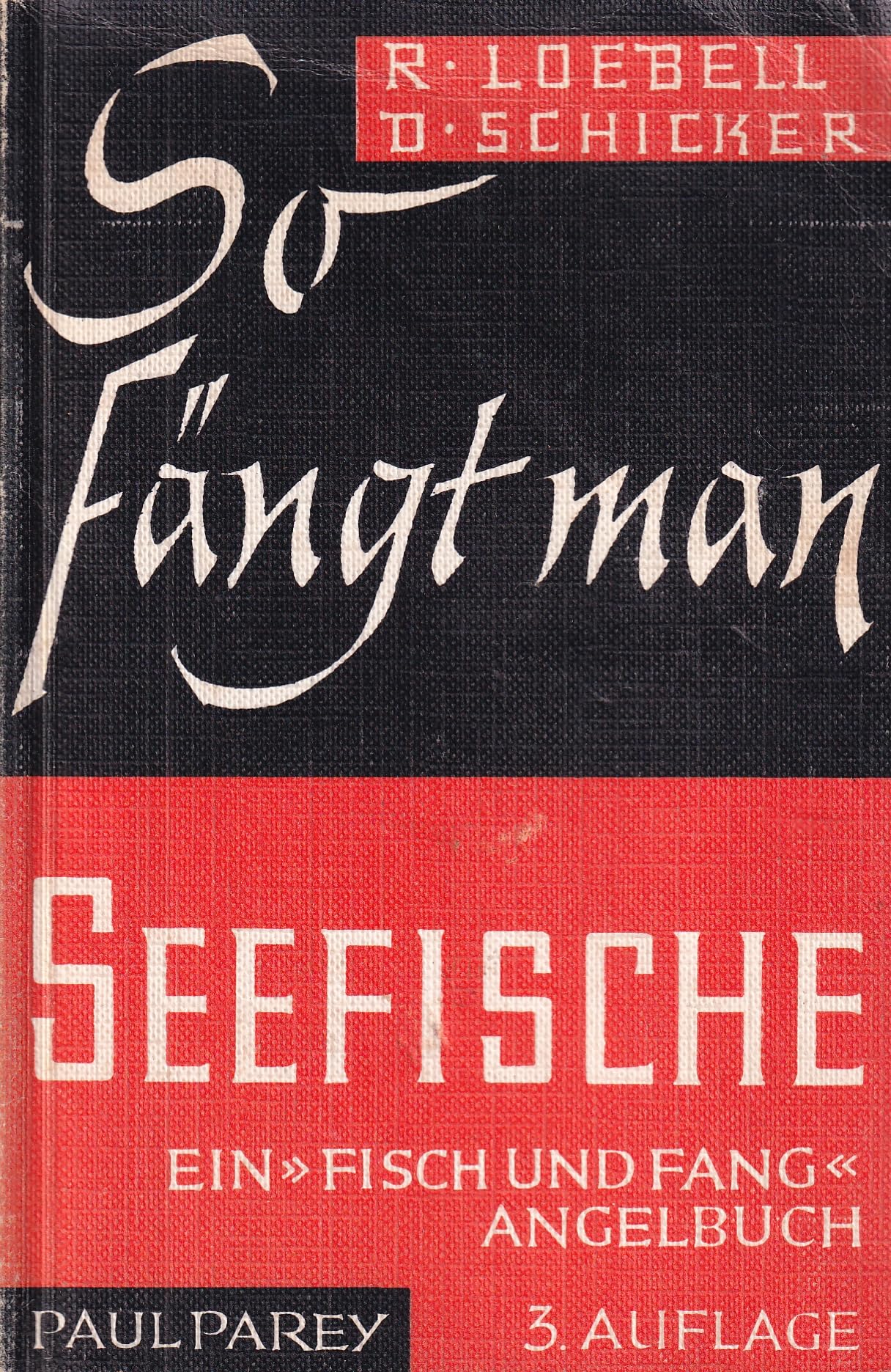 So fängt man Seefische Leisure & Fun