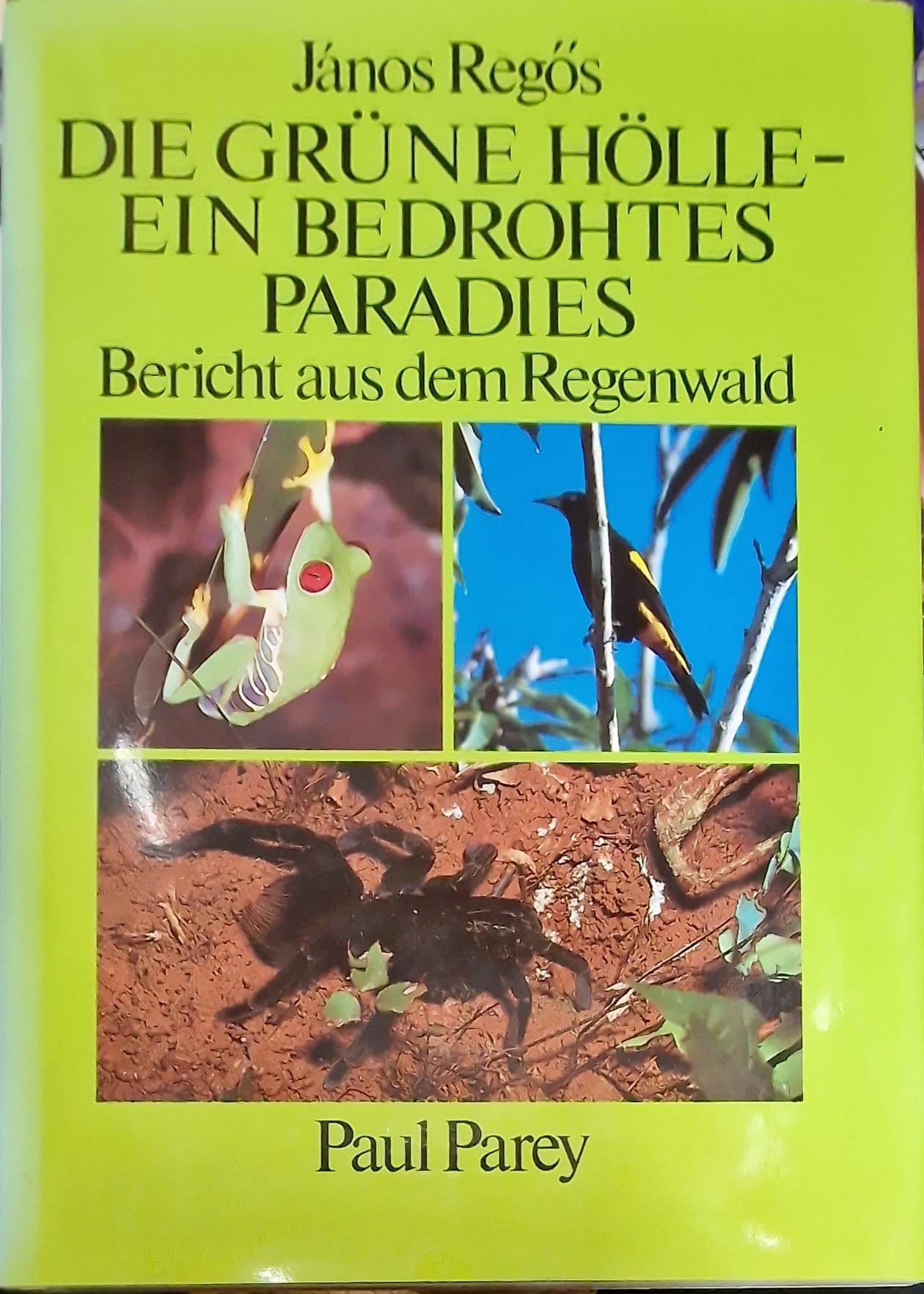Die grüne Hölle - ein bedrohtes Paradies. Bericht aus dem Regenwald Film, Art & Culture