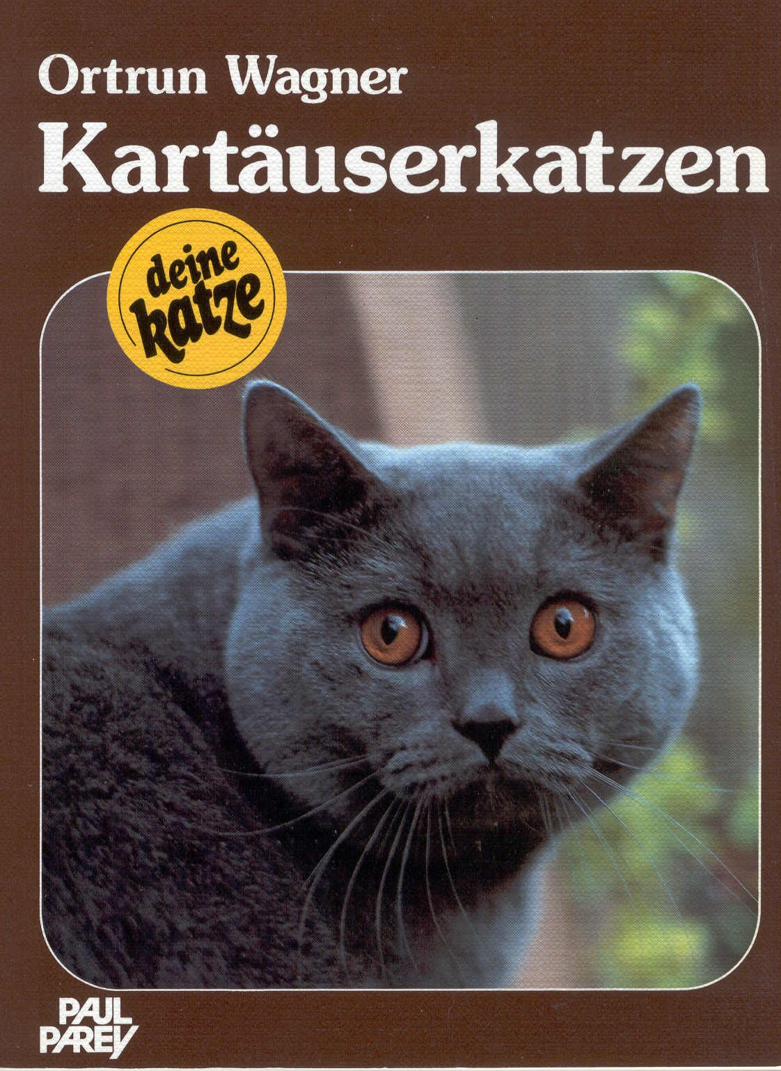 Product Image: Kartäuserkatzen. Kauf, Haltung, Pflege