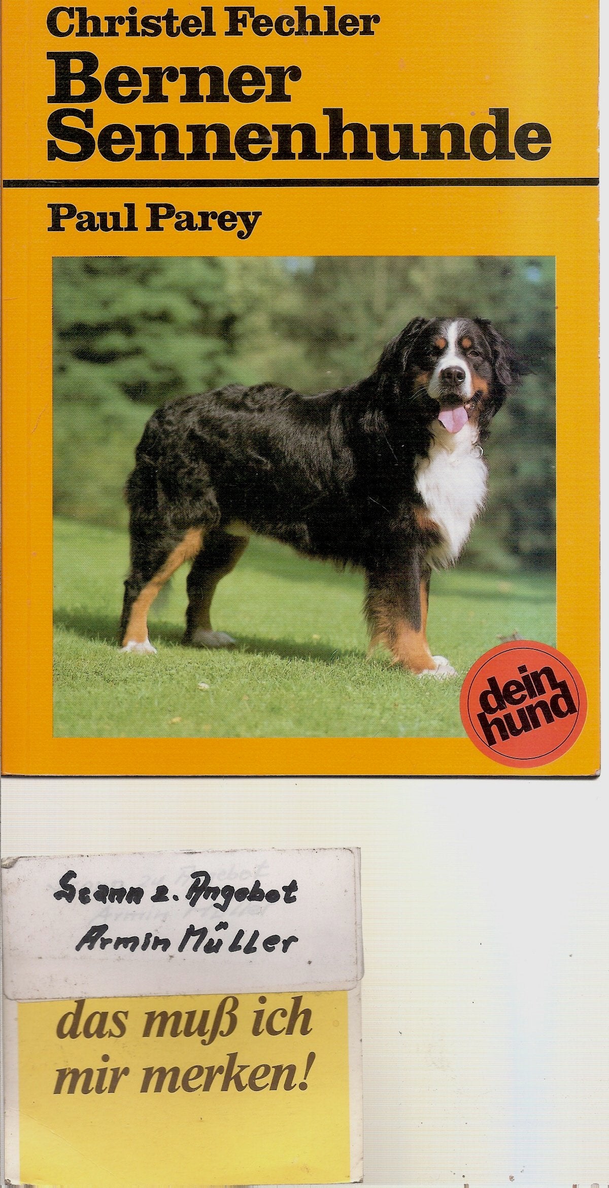 Berner Sennenhunde Parents & Children