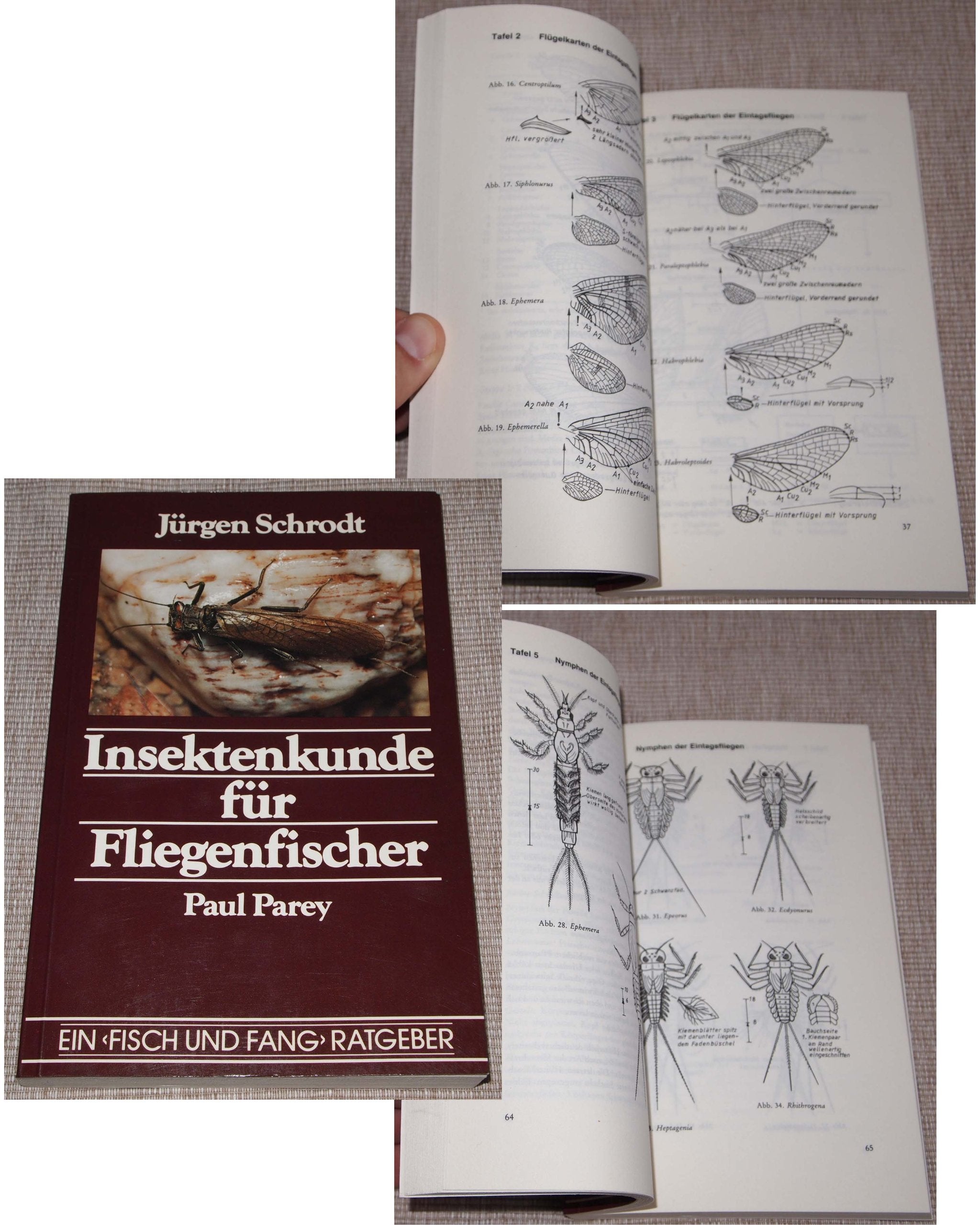 Insektenkunde für Fliegenfischer. Beobachtungs- und Bestimmungshilfe, Wegweiser zum Angelerfolg Leisure & Fun