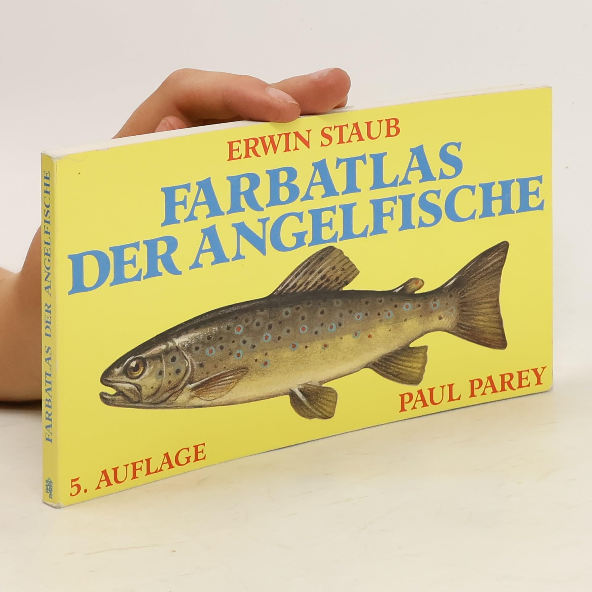 Farbatlas der Angelfische Leisure & Fun