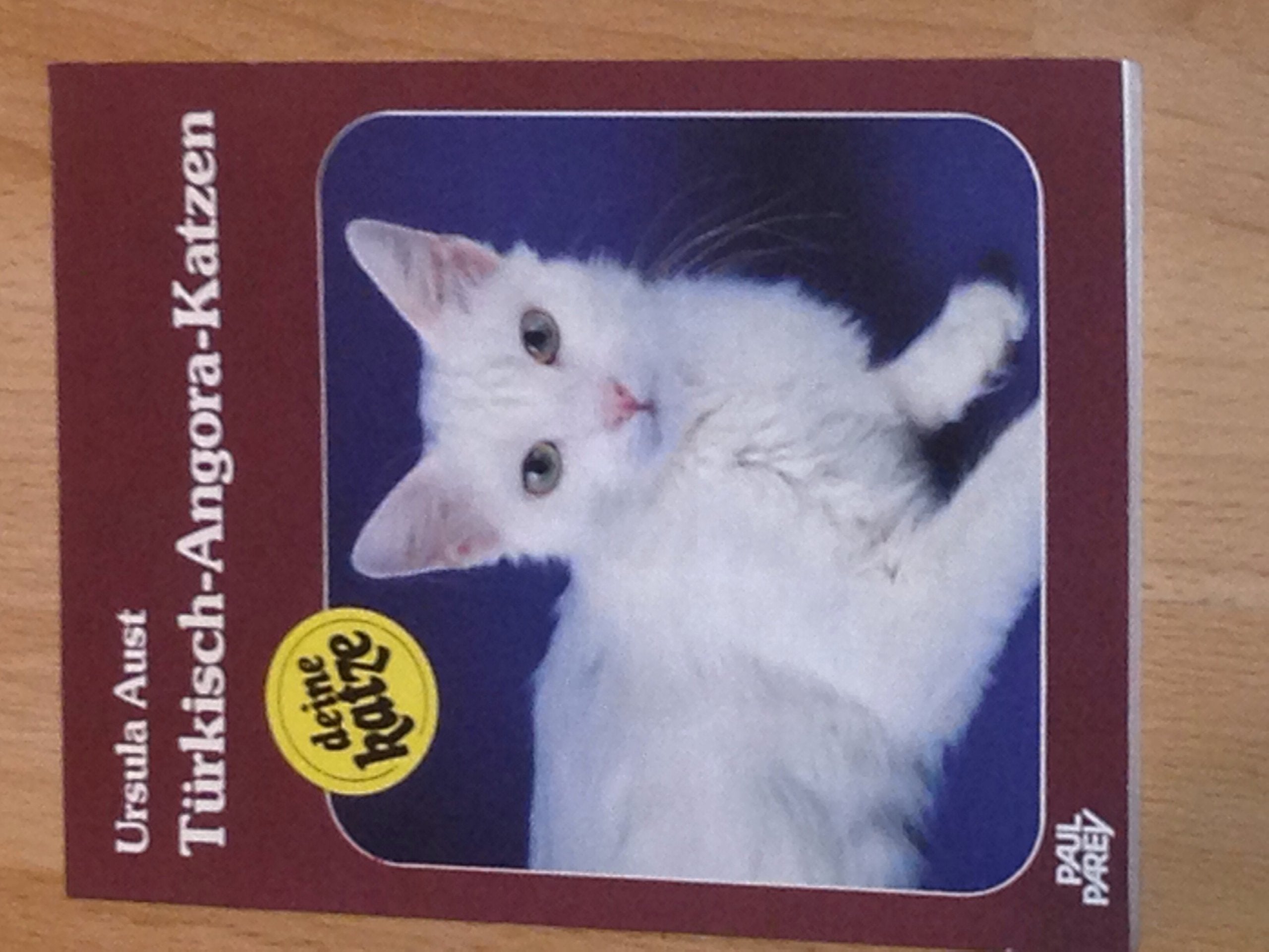Türkisch-Angora-Katzen. Kauf - Haltung - Pflege Books
