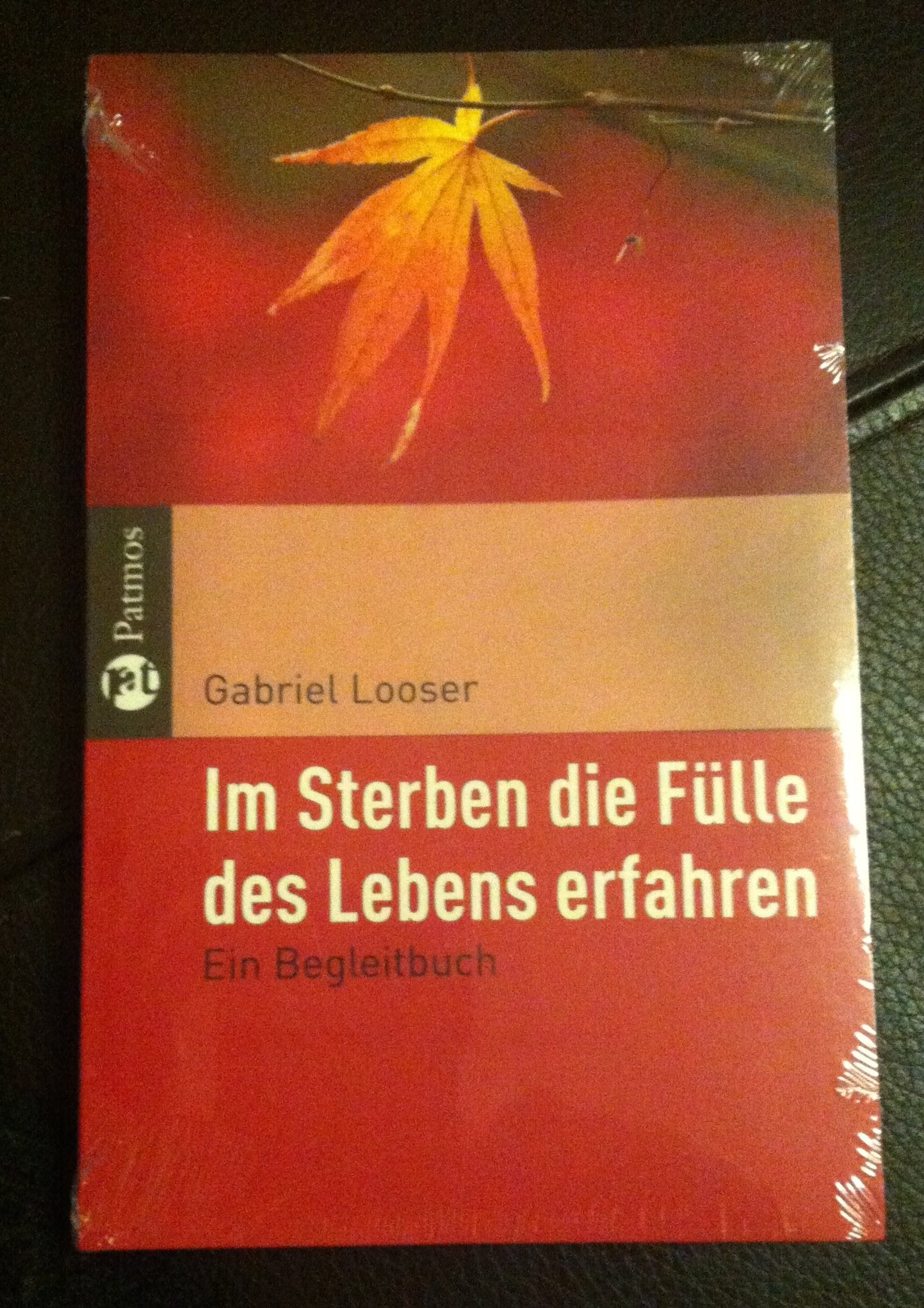 Im Sterben die Fülle des Lebens erfahren: Ein Begleitbuch Lifestyle