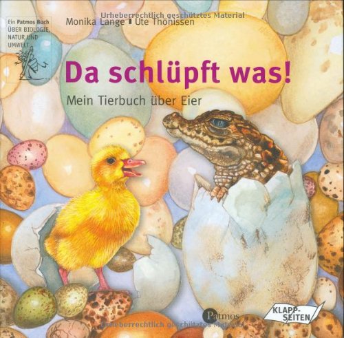 Da schlüpft was!: Mein Tierbuch über Eier Non-fiction