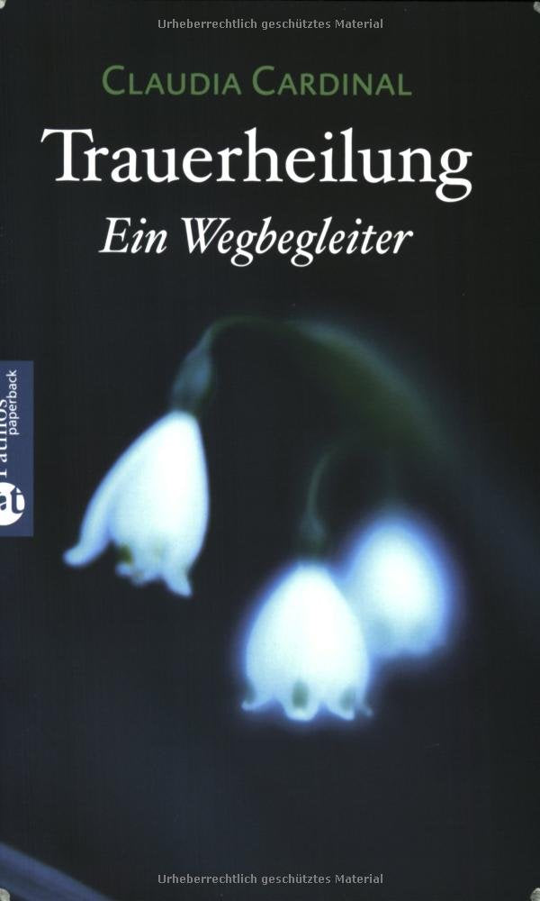 Trauerheilung: Ein Wegbegleiter (Patmos Paperback) Lifestyle