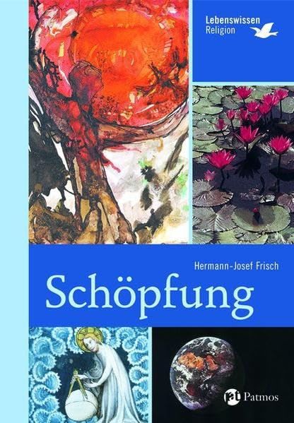 Schöpfung: Lebenswissen Religion Non-fiction