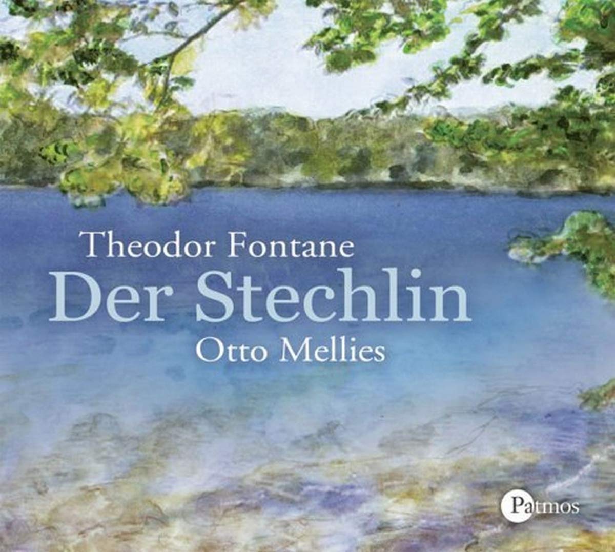 Der Stechlin: Eingerichtete Lesefassung Contemporary literature Books