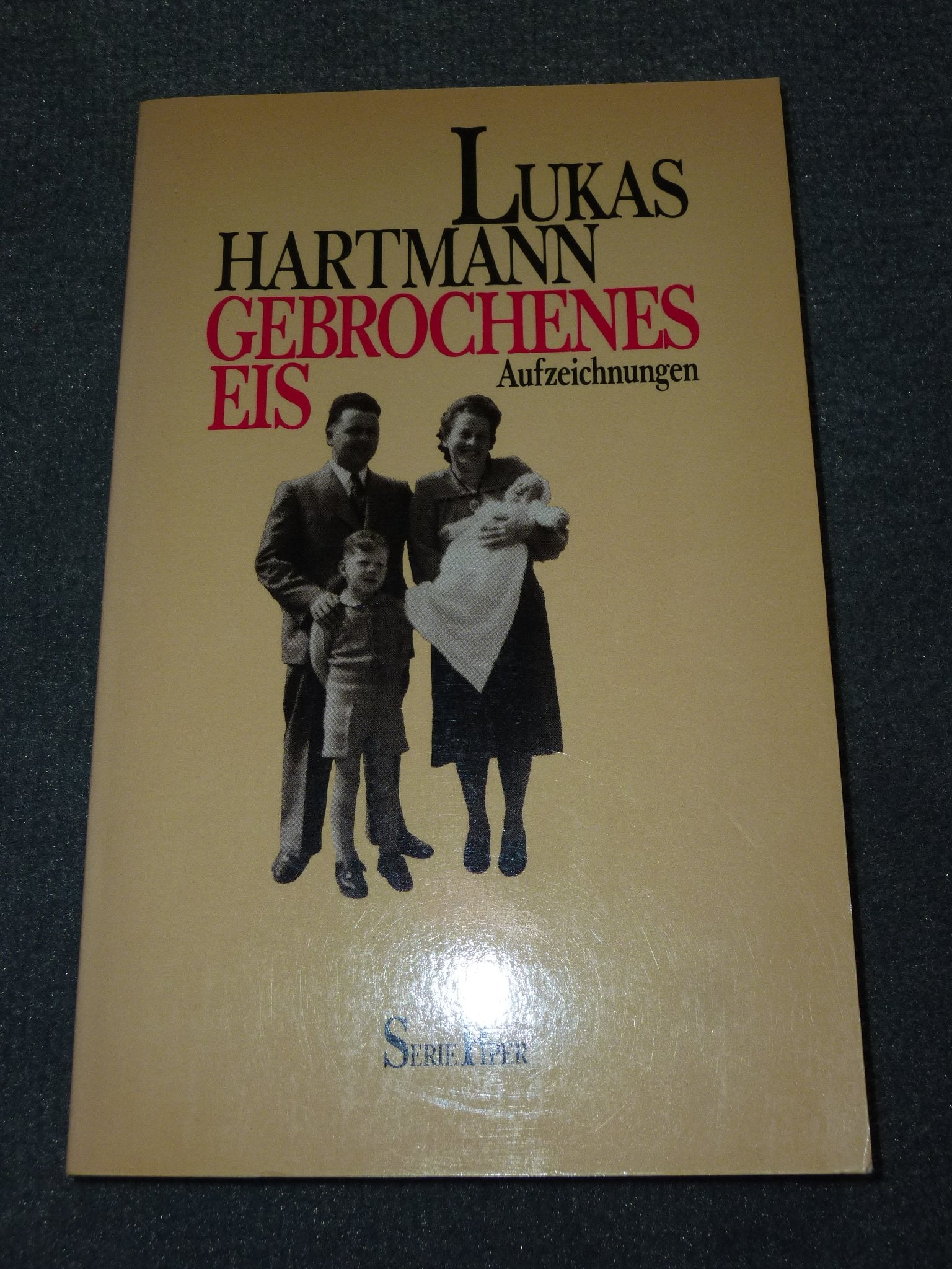 Gebrochenes Eis: Aufzeichnungen (Piper Taschenbuch) Social Sciences