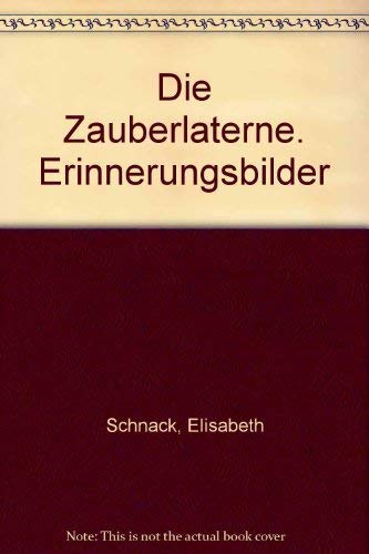 Die Zauberlaterne: Erinnerungsbilder (Piper Taschenbuch) Memories