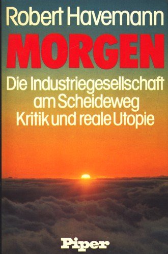 Morgen. Die Industriegesellschaft am Scheideweg Social Sciences Books