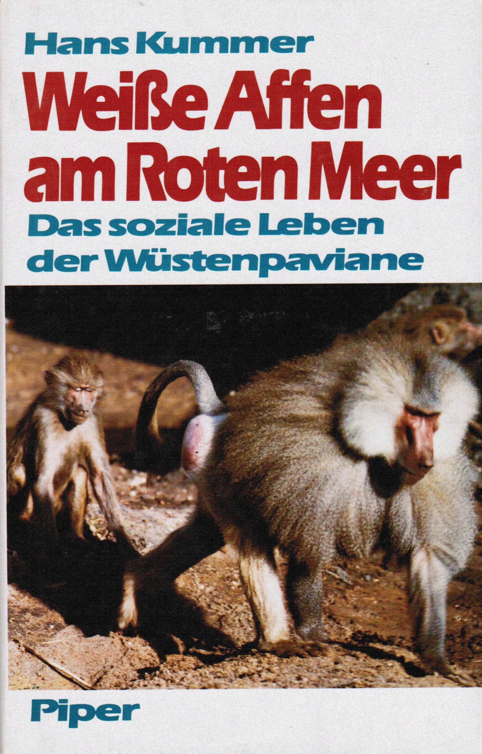 Weisse Affen am Roten Meer: Das soziale Leben der Wüstenpaviane General education