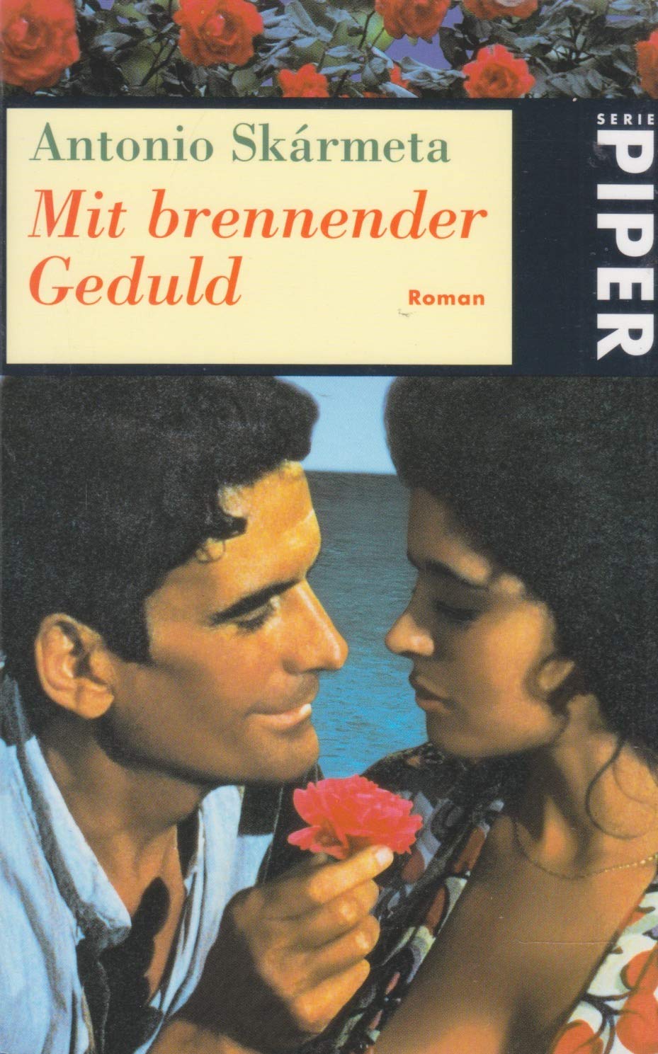 Mit brennender Geduld: Roman Contemporary literature