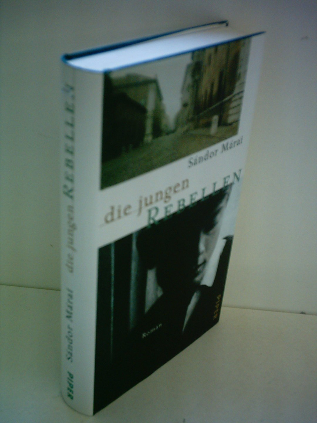 Die jungen Rebellen: Roman Classics