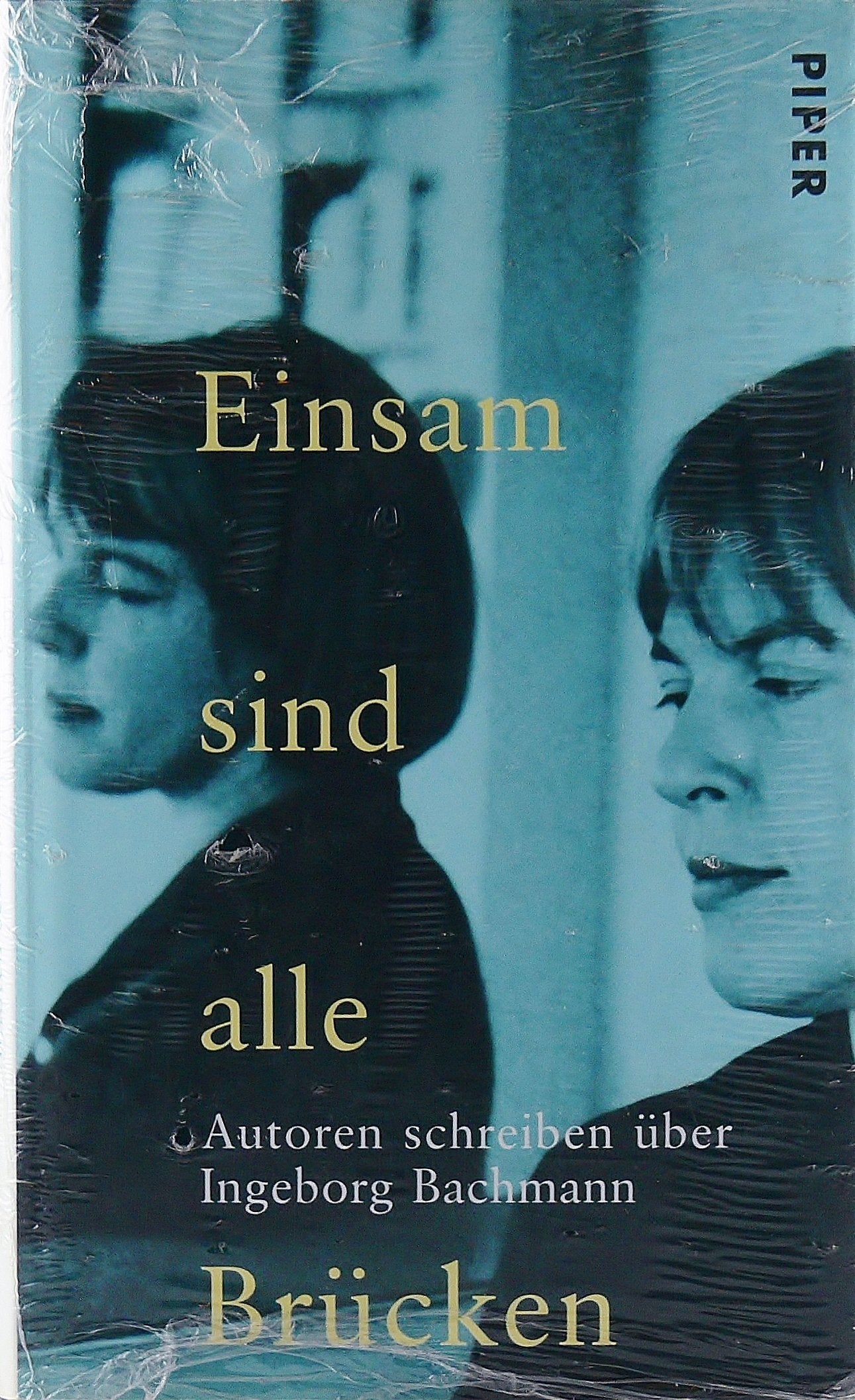 Einsam sind alle Brücken: Autoren schreiben über Ingeborg Bachmann Books
