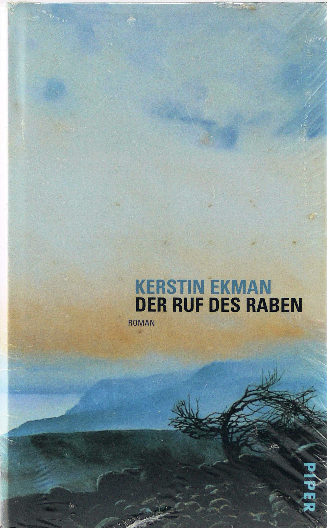 Der Ruf des Raben: Roman Contemporary literature