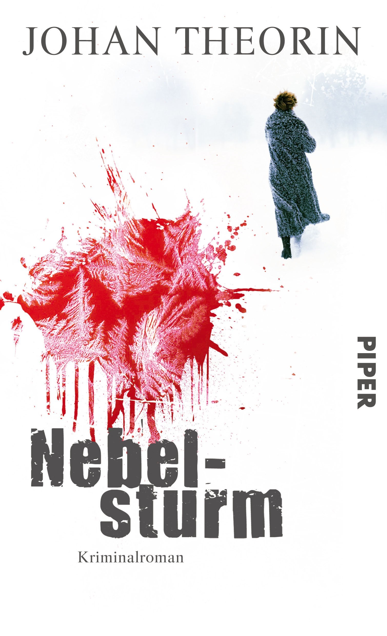Nebelsturm: Kriminalroman (Öland-Reihe, Band 2) Contemporary literature