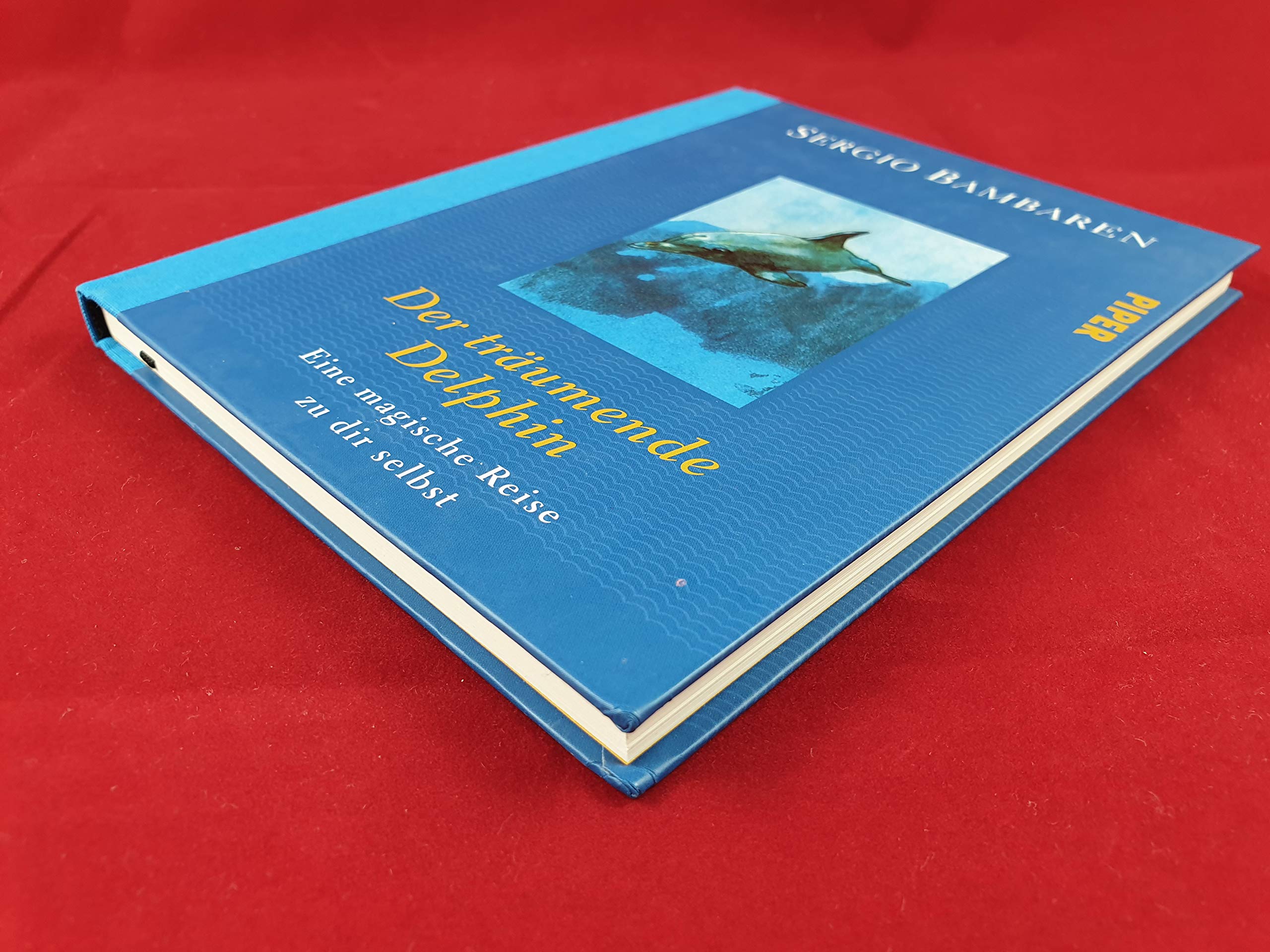 Der träumende Delphin: Eine magische Reise zu dir selbst. Contemporary literature