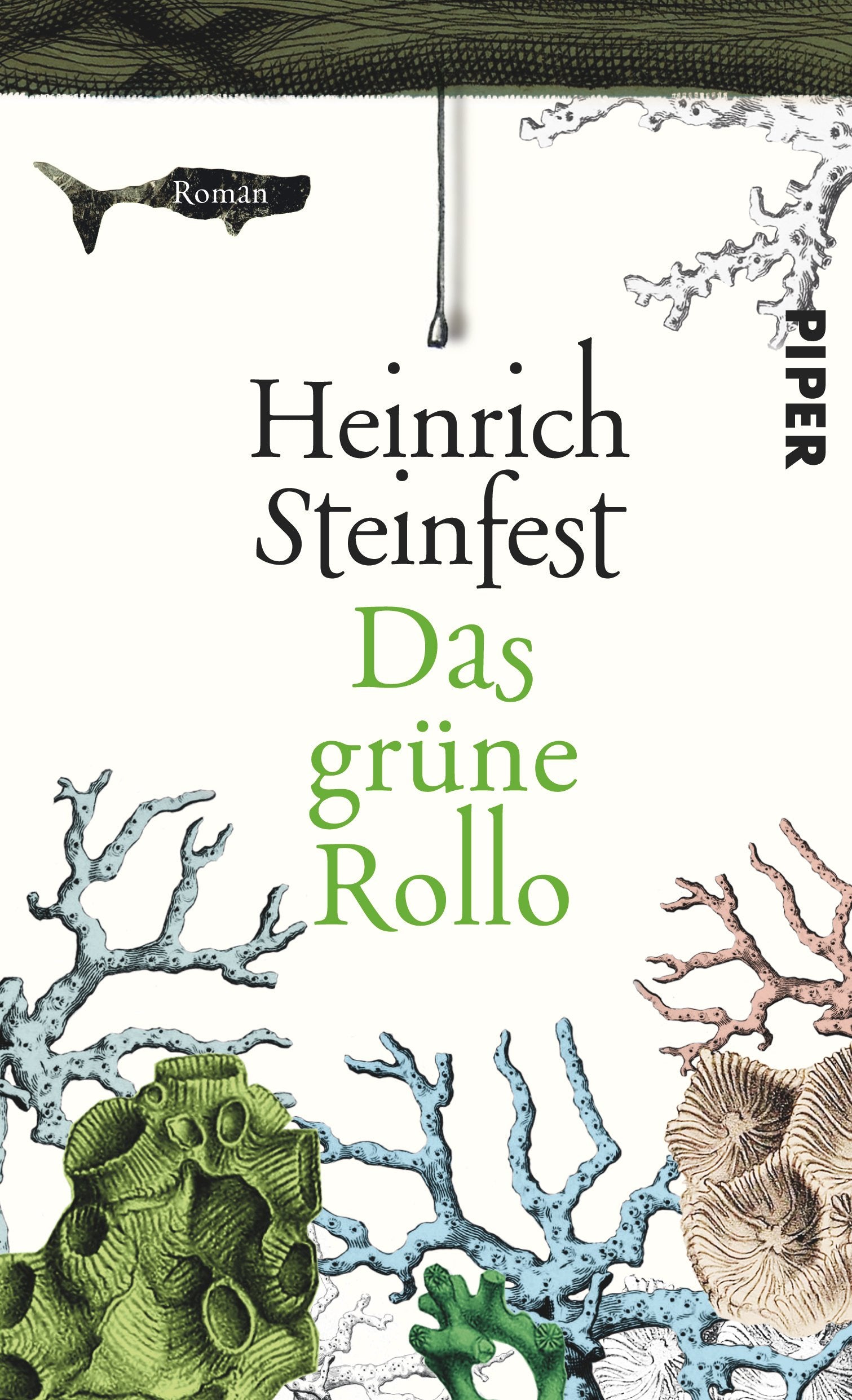 Product Image: Das grüne Rollo