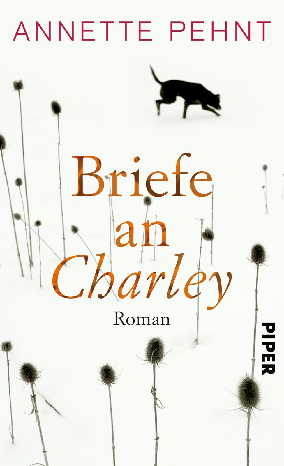 Briefe an Charley Contemporary literature Books