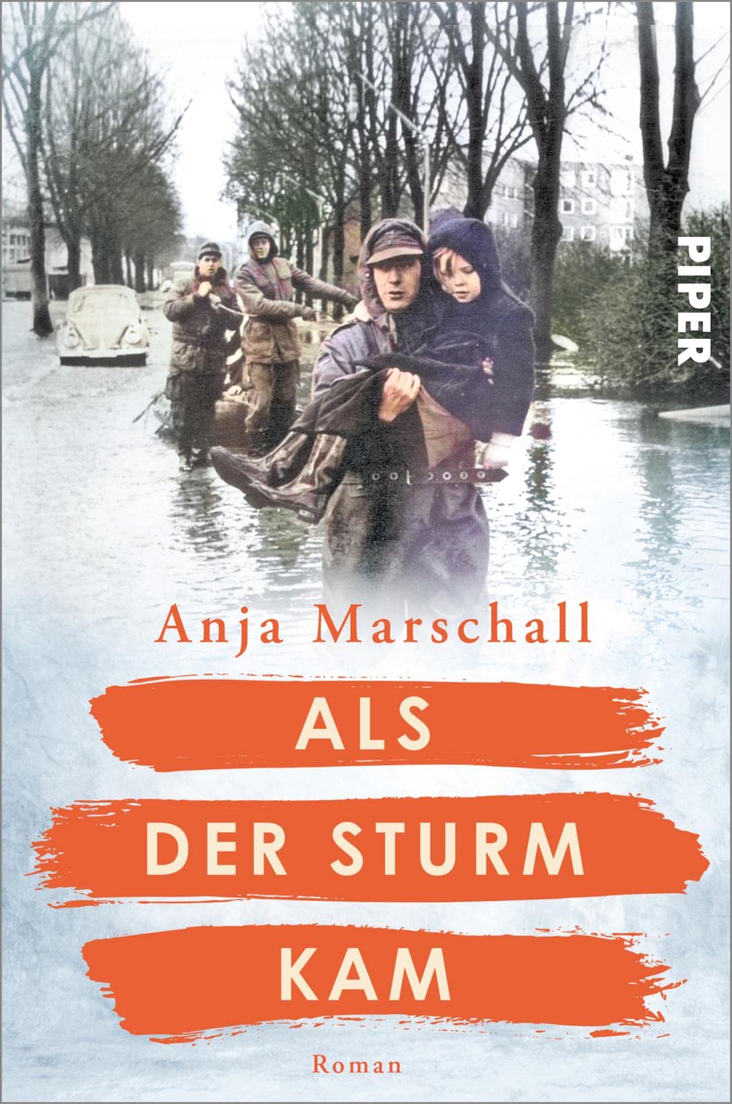 Als der Sturm kam Contemporary literature Books