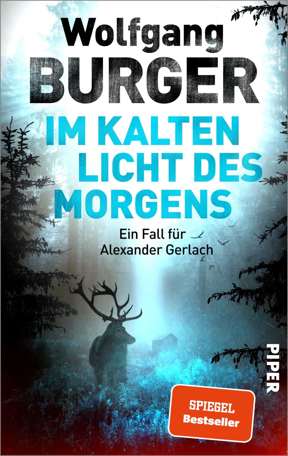 Im kalten Licht des Morgens Action & Adventure