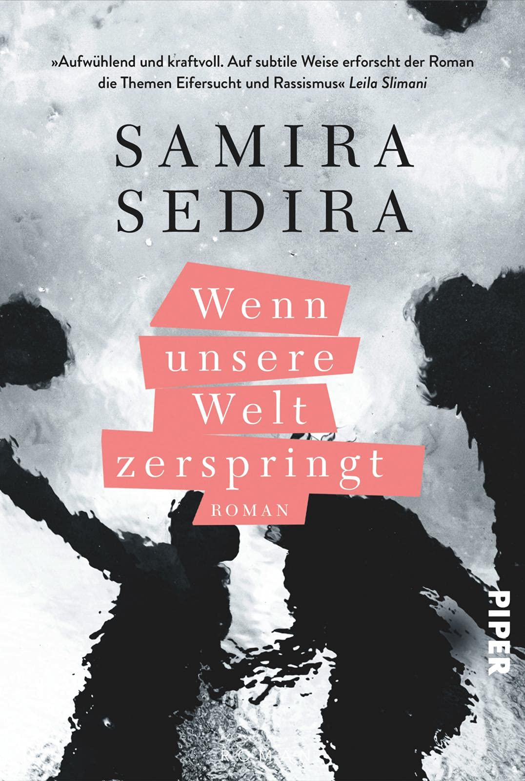 Wenn unsere Welt zerspringt Contemporary literature