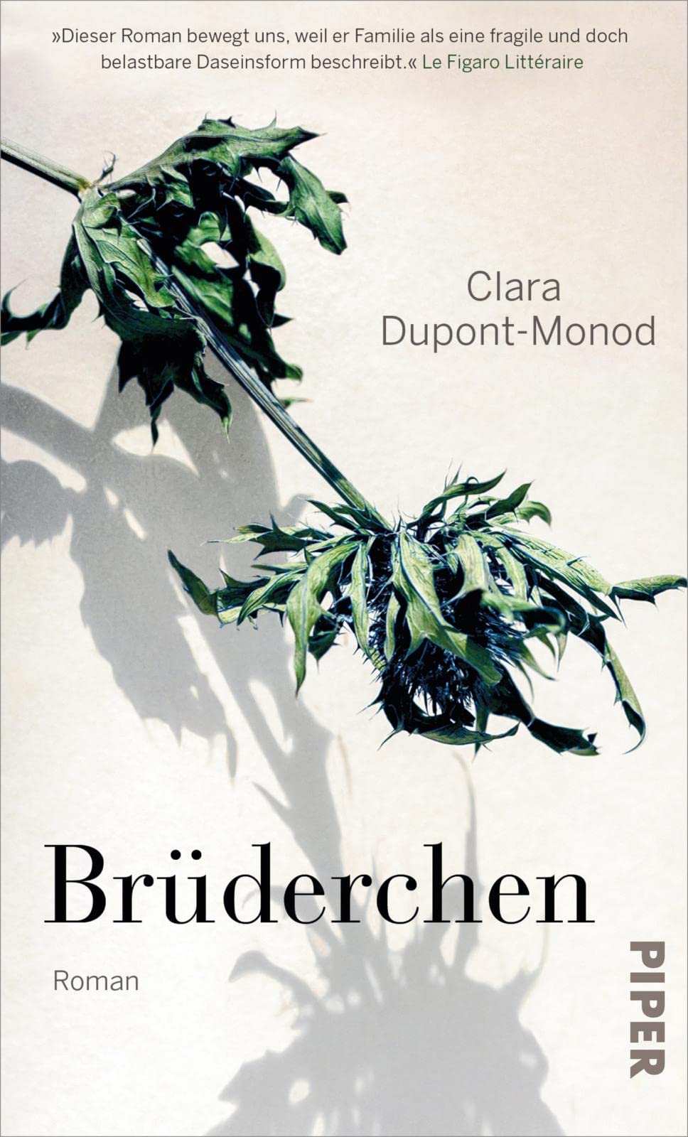 Brüderchen Contemporary literature Books